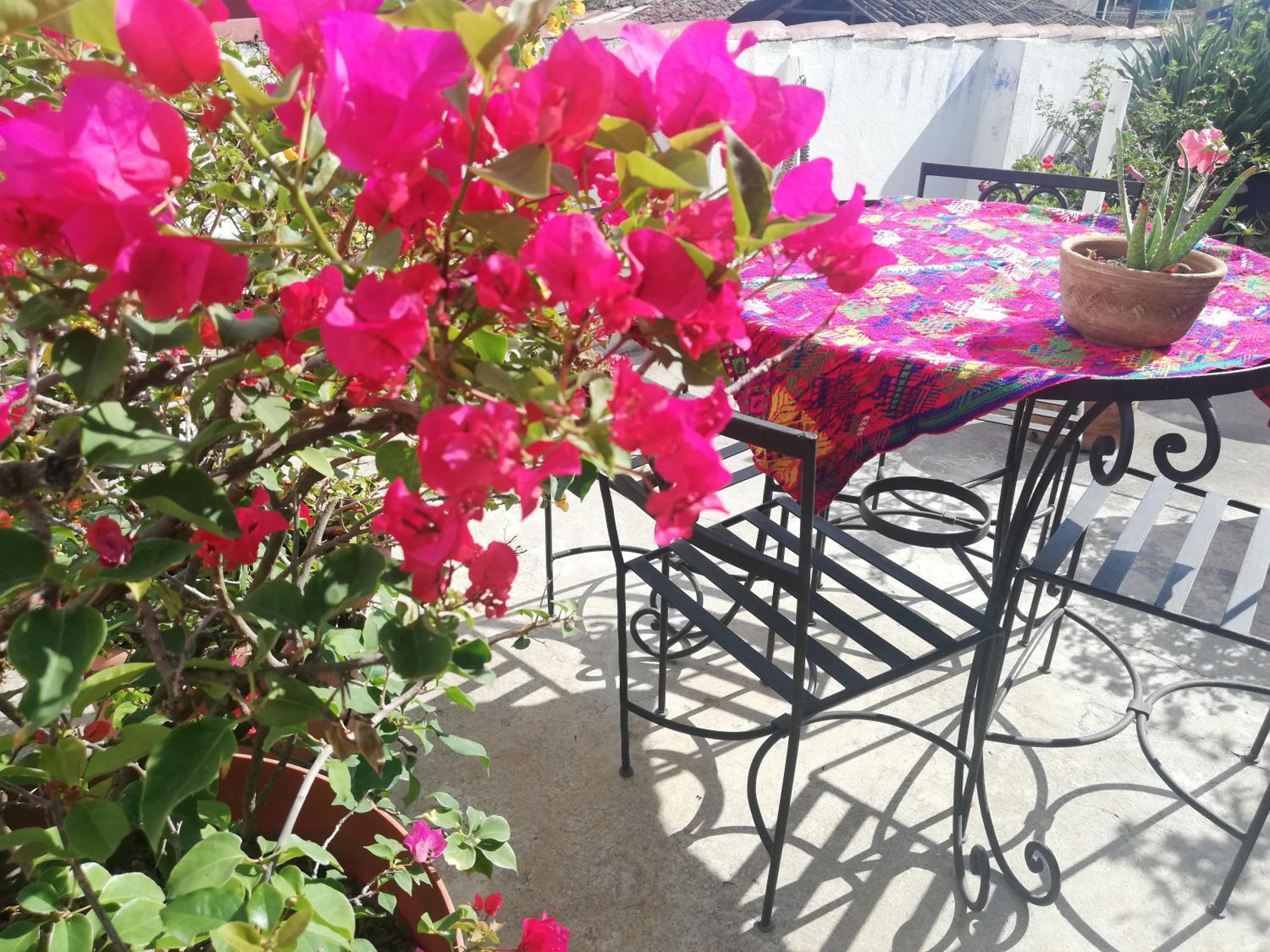 Photo 8