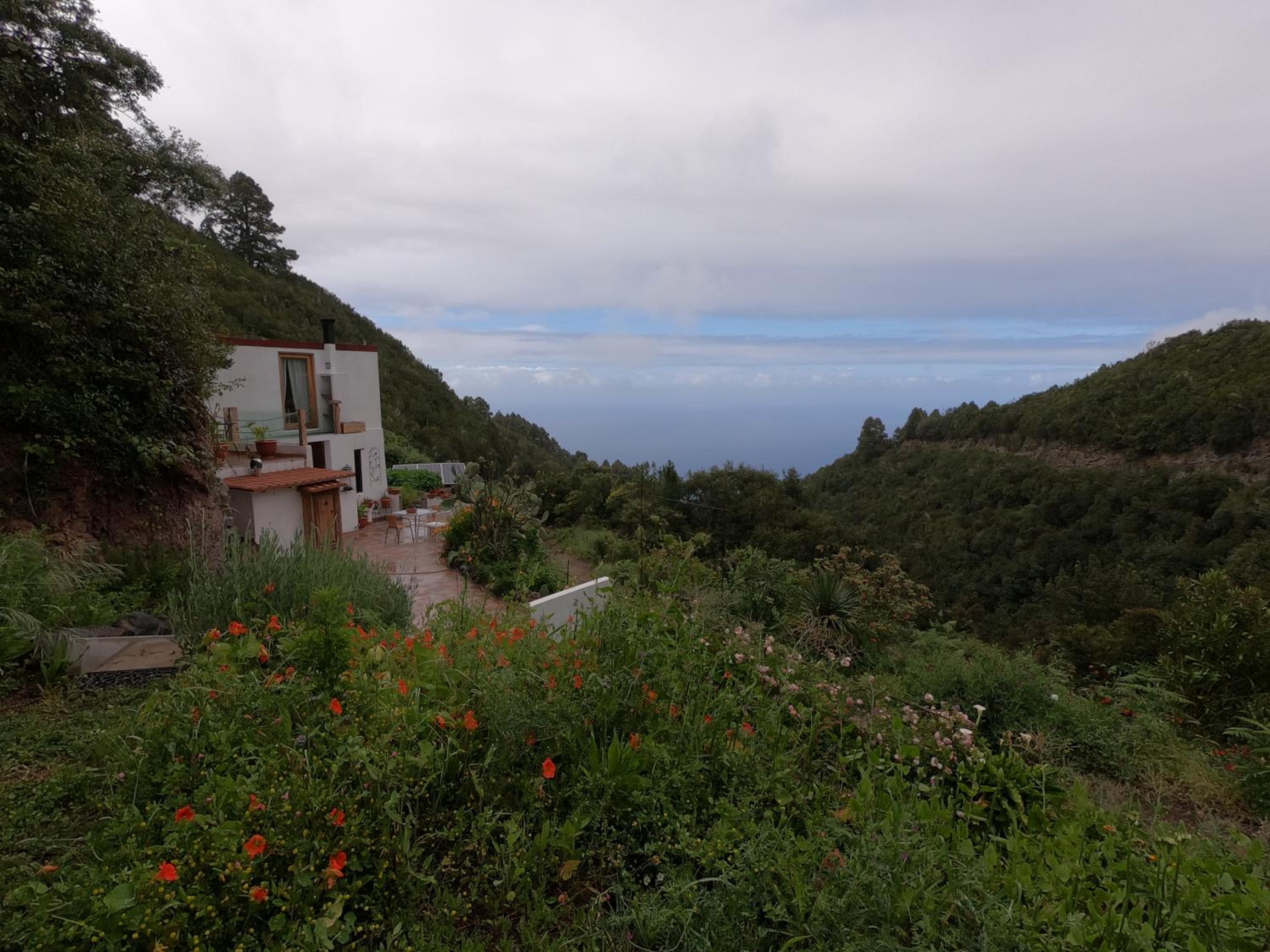 FREEDOM view 3