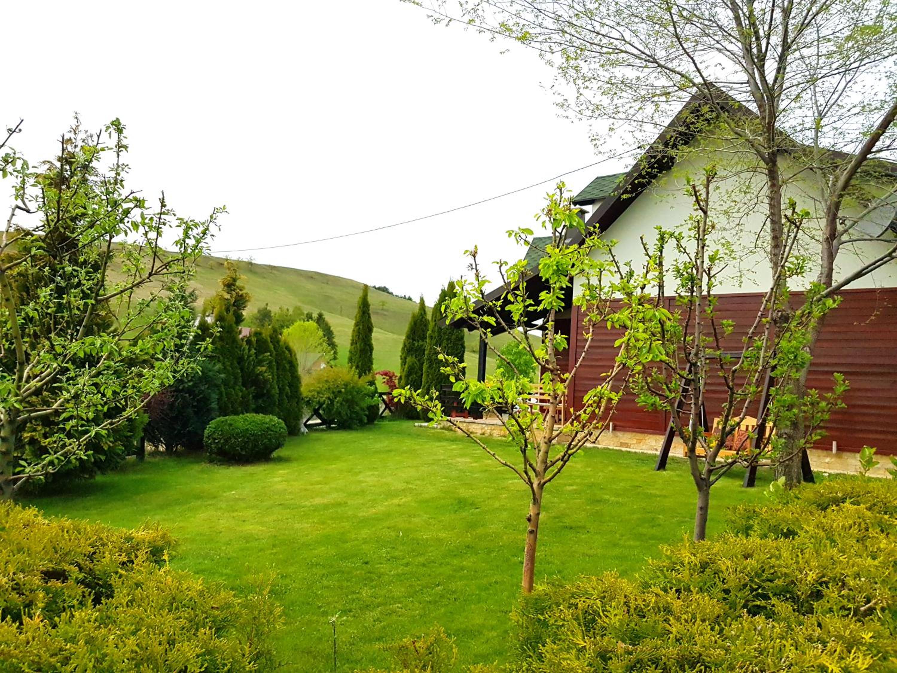 Apartments Hill House Zlatibor view 5