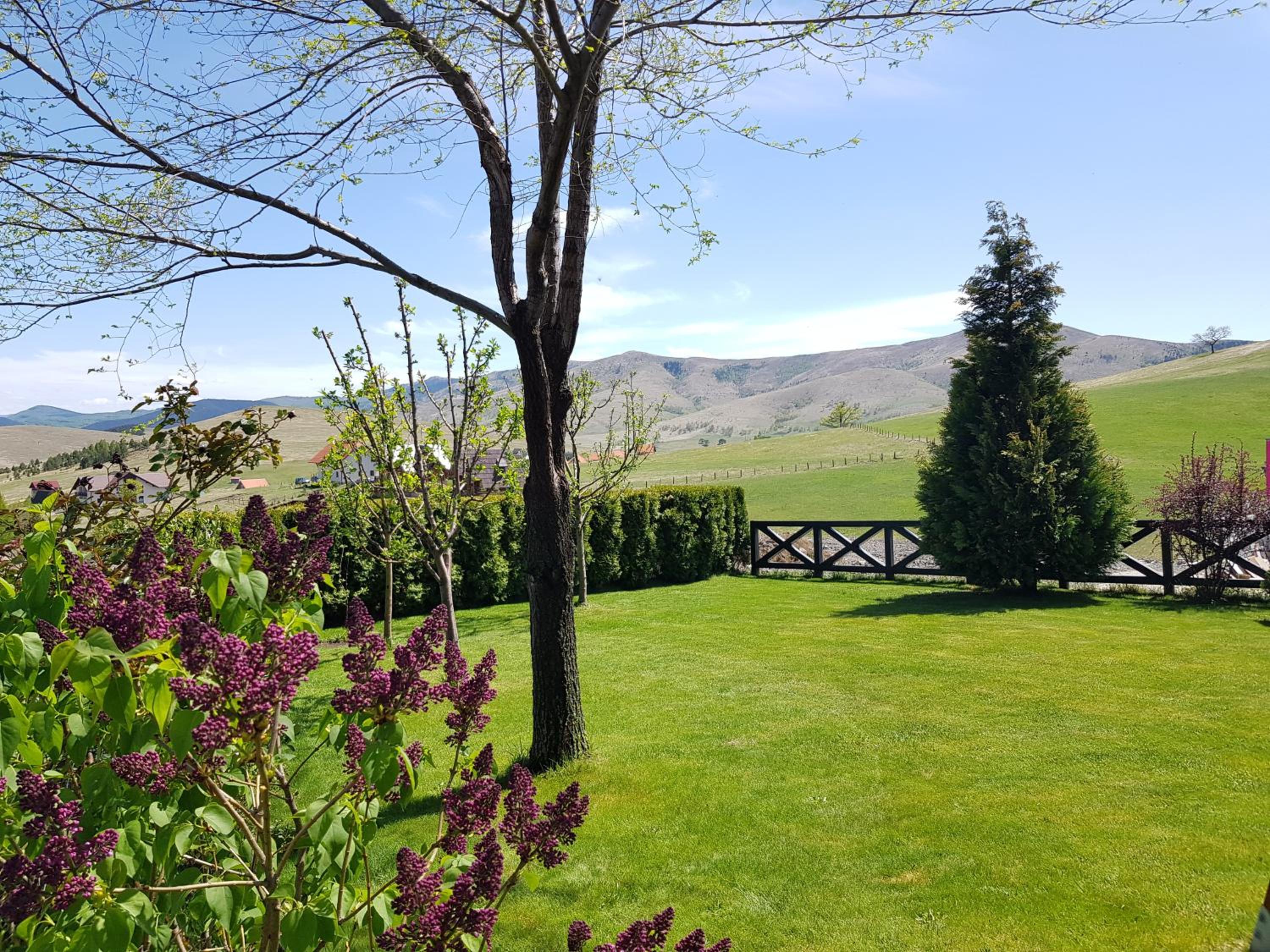 Apartments Hill House Zlatibor view 4