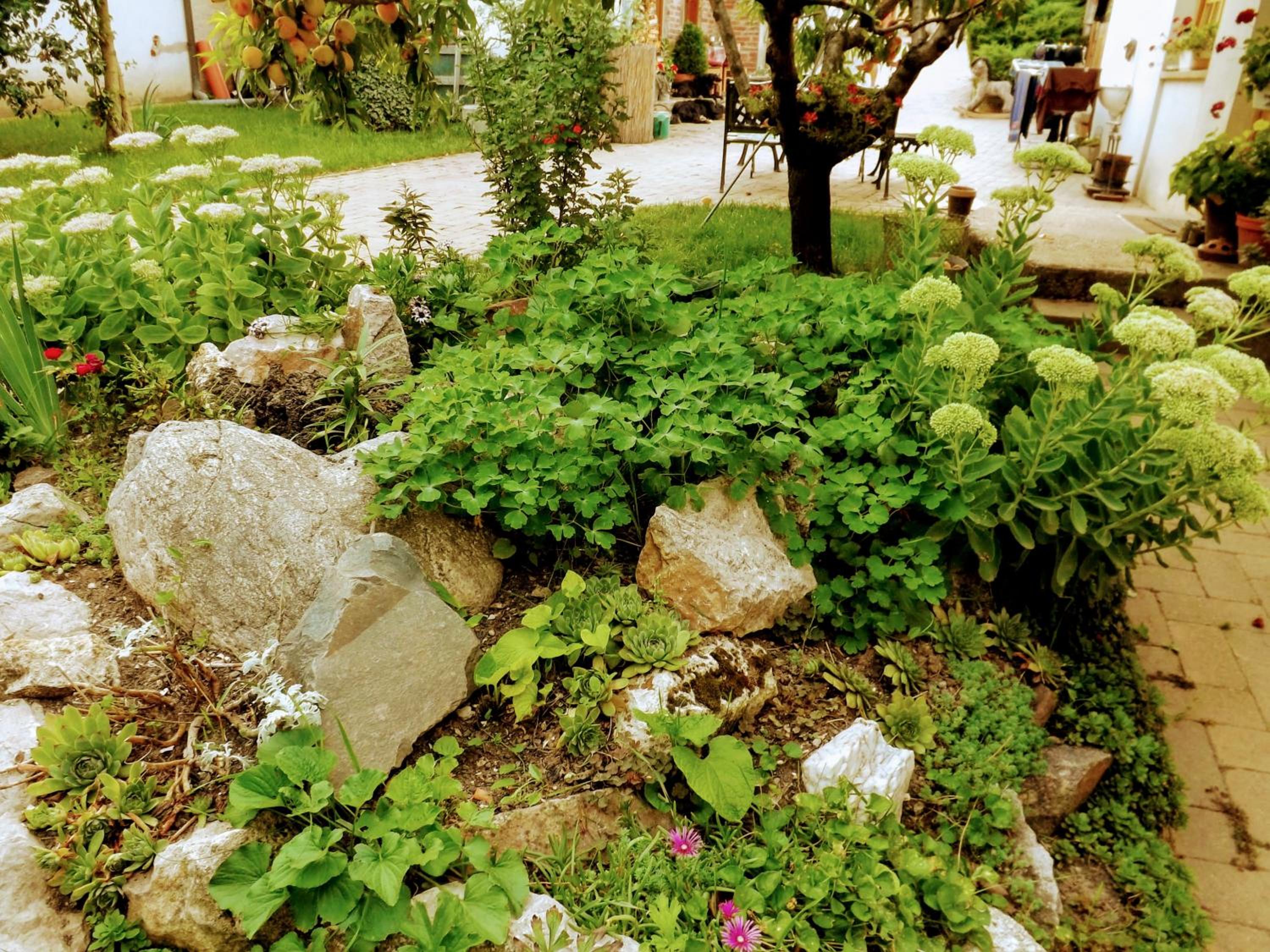 Photo 62