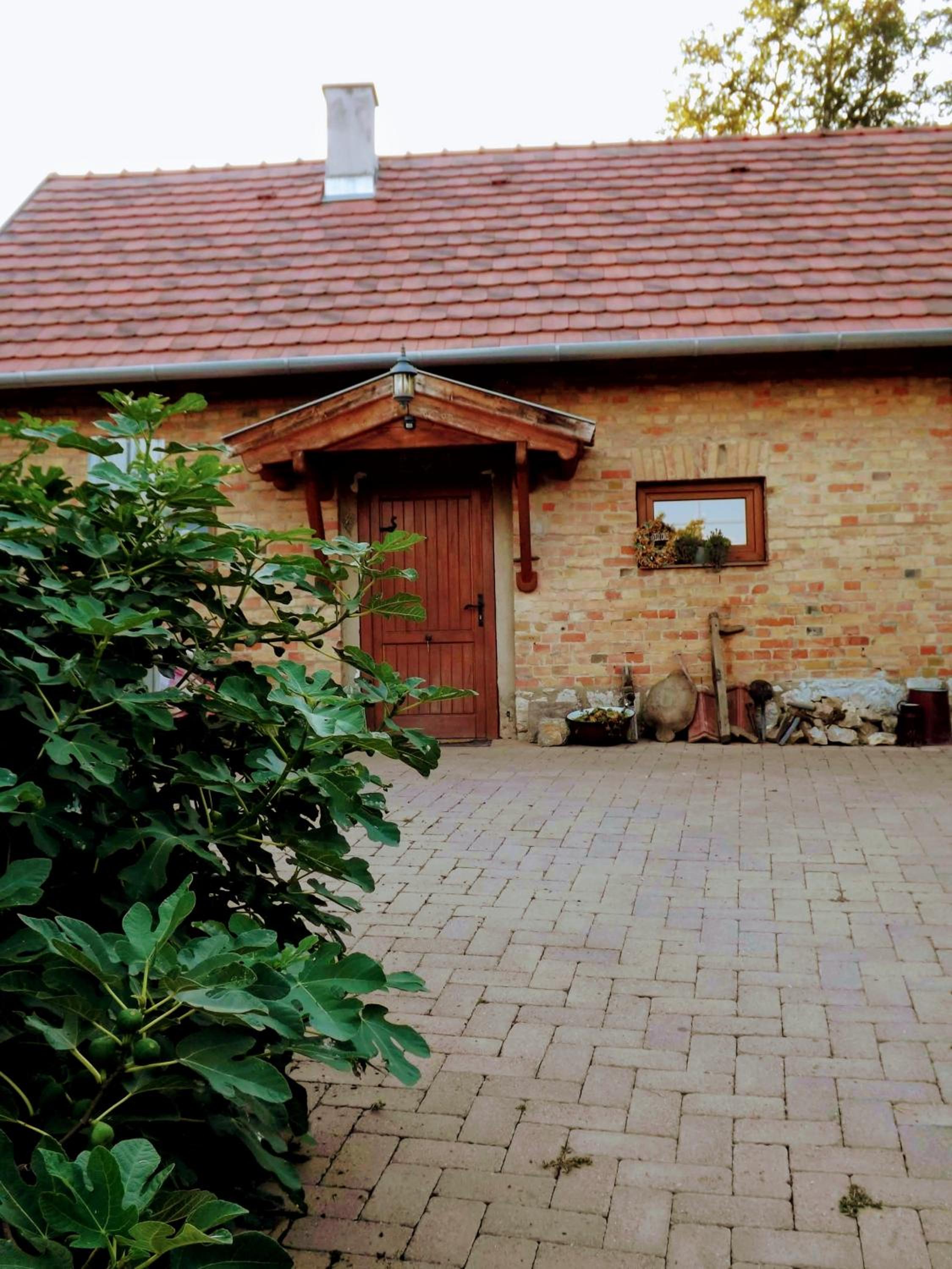 Photo 49