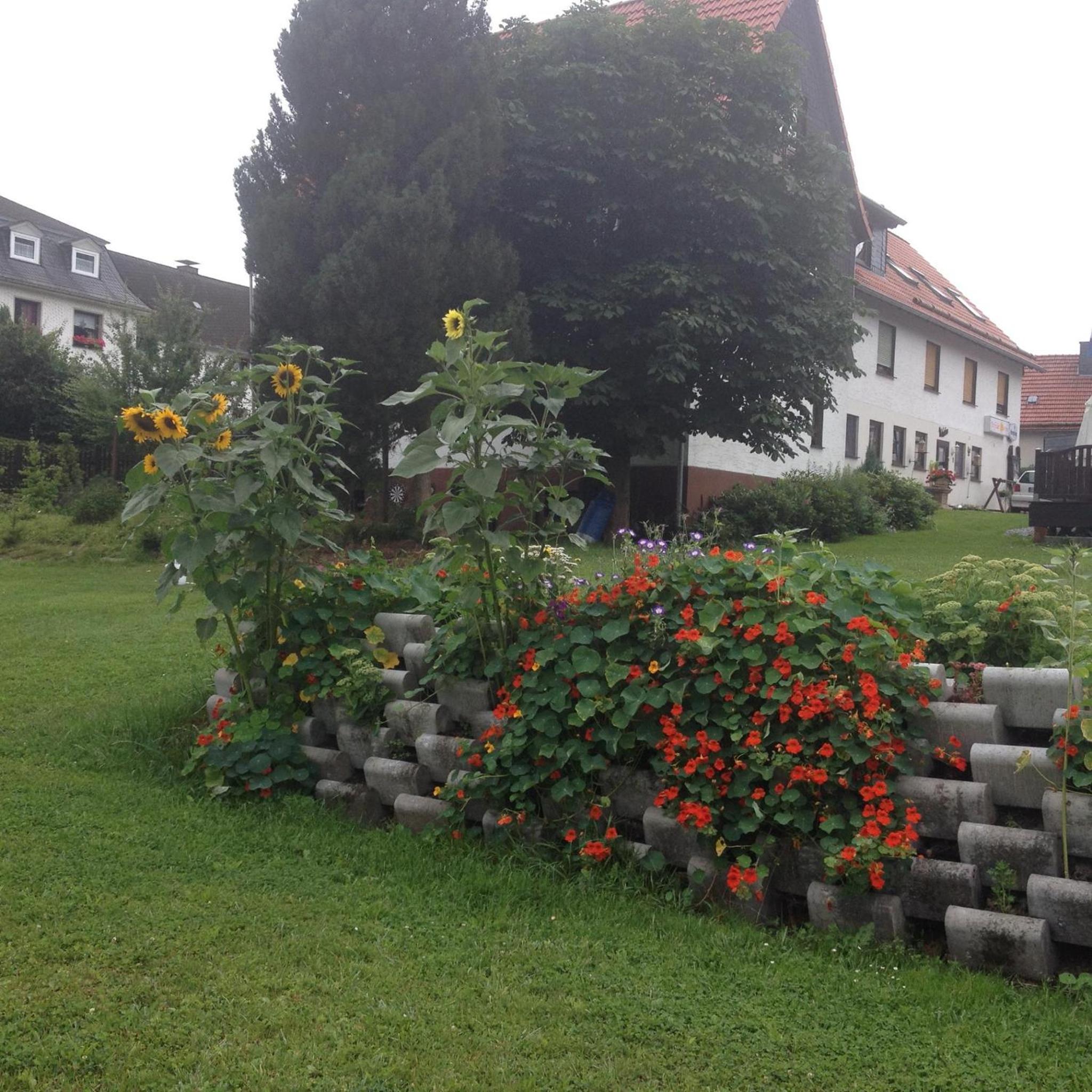 Photo 61