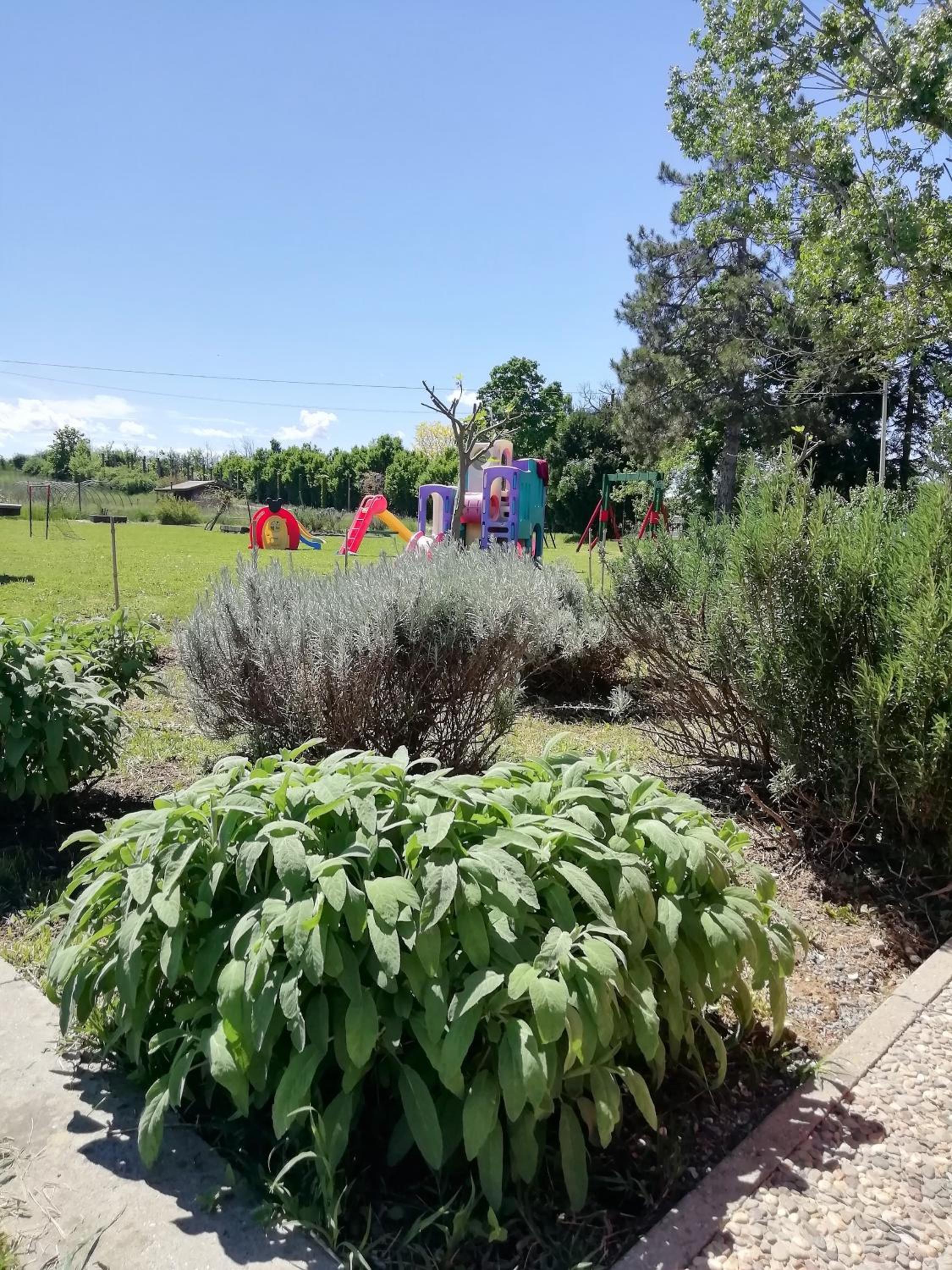 Photo 41