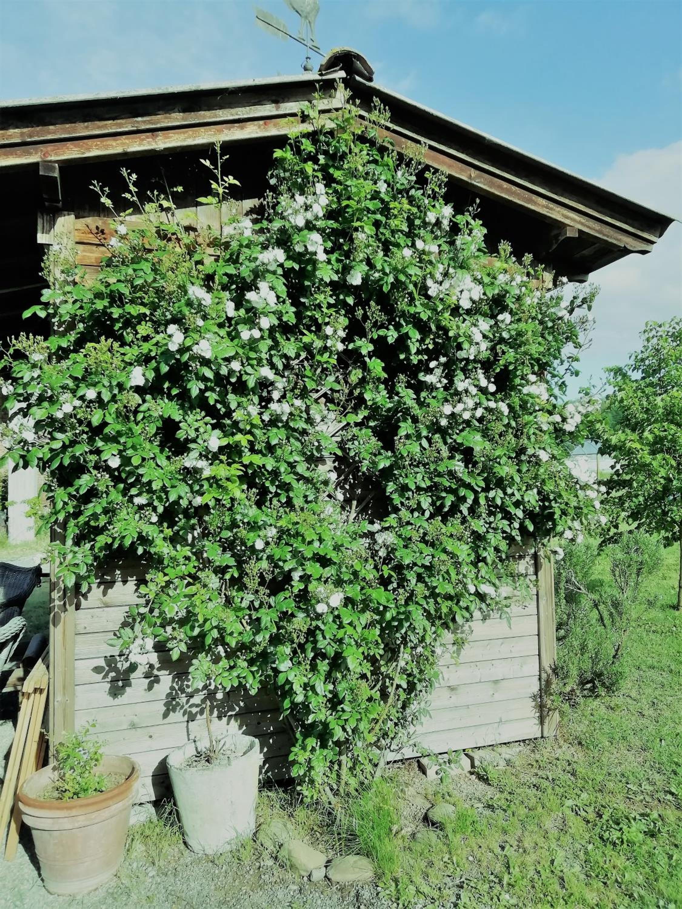 Photo 33