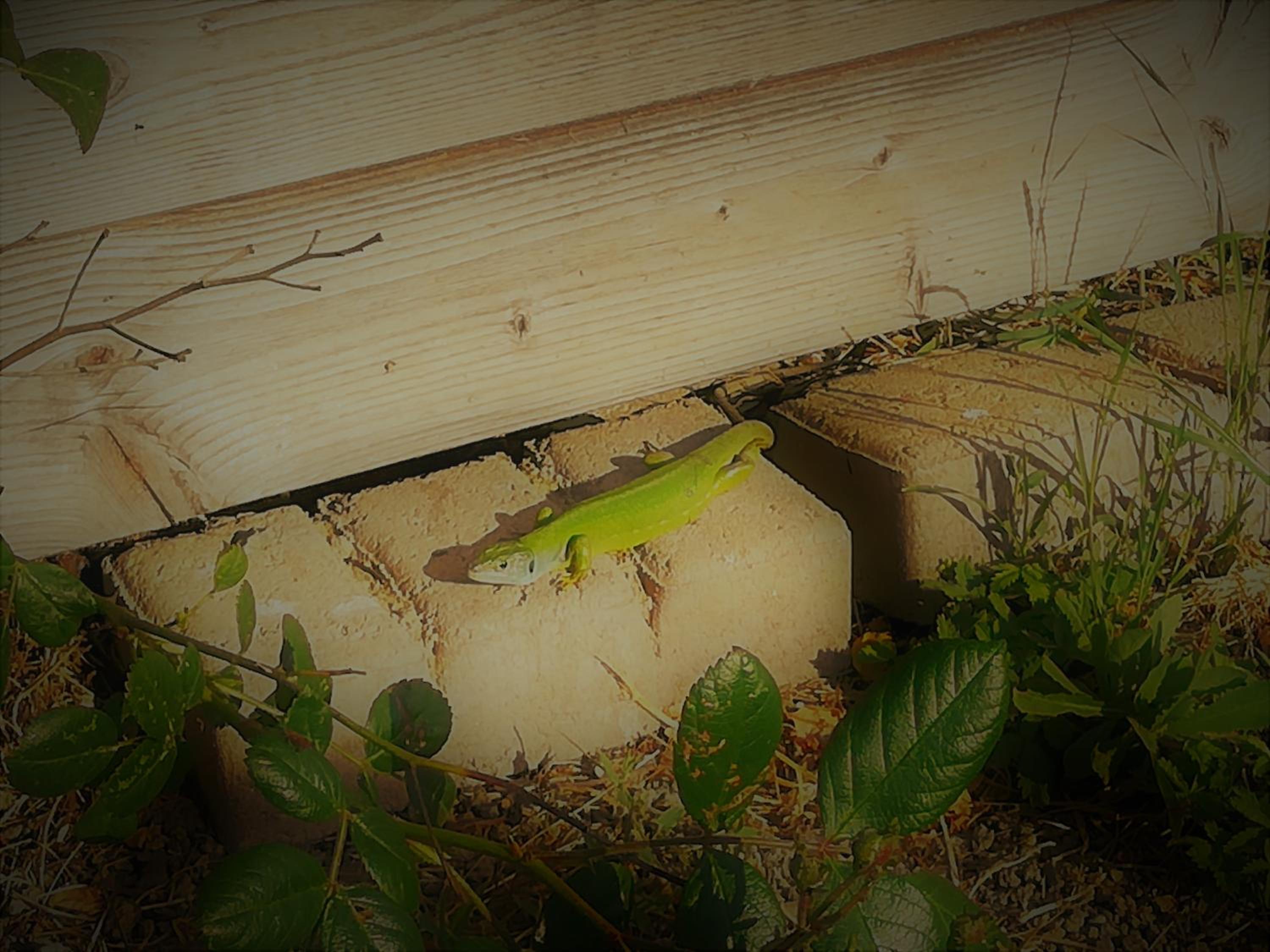 Photo 22