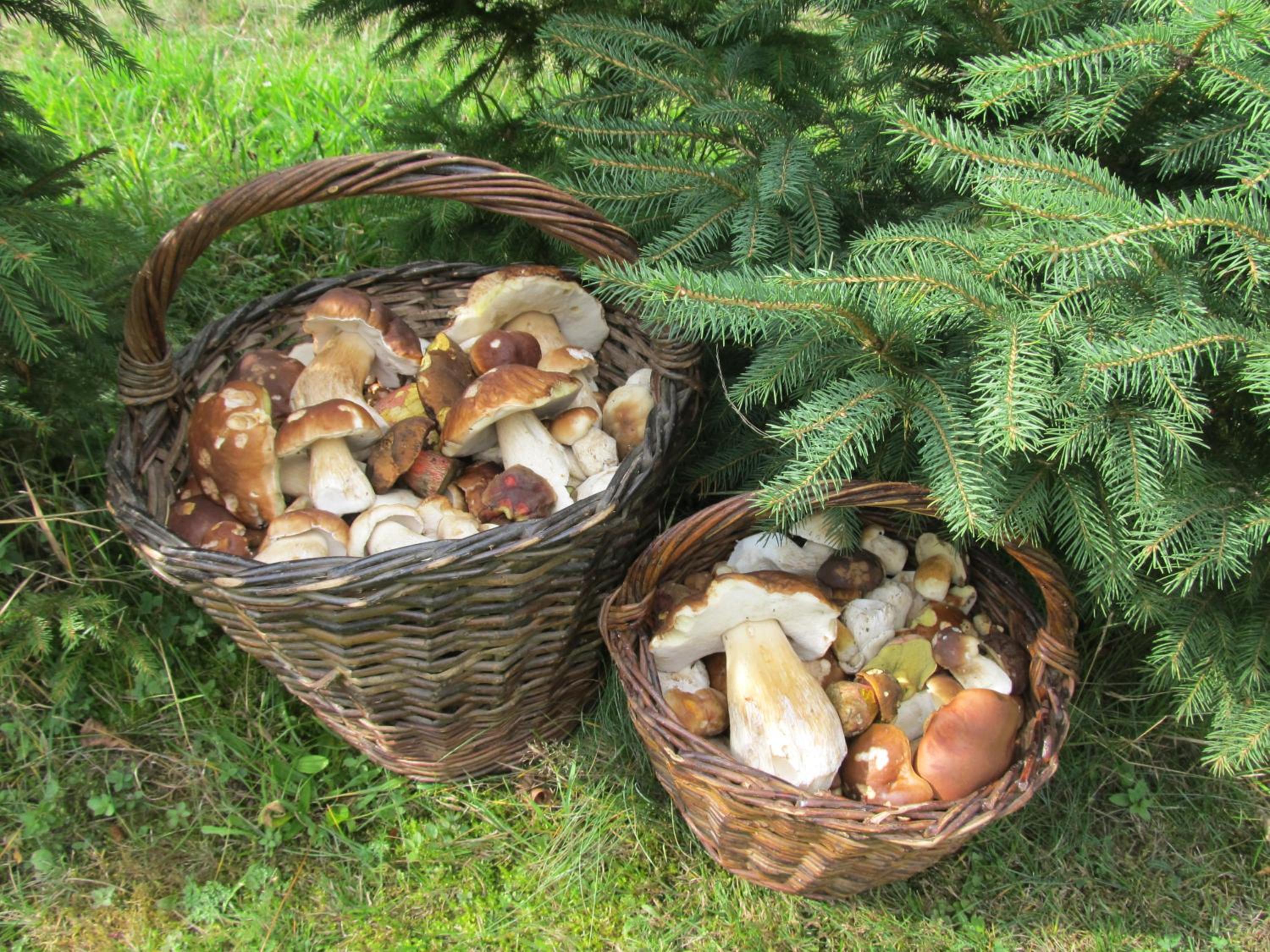 Penzion Alpský Dům
