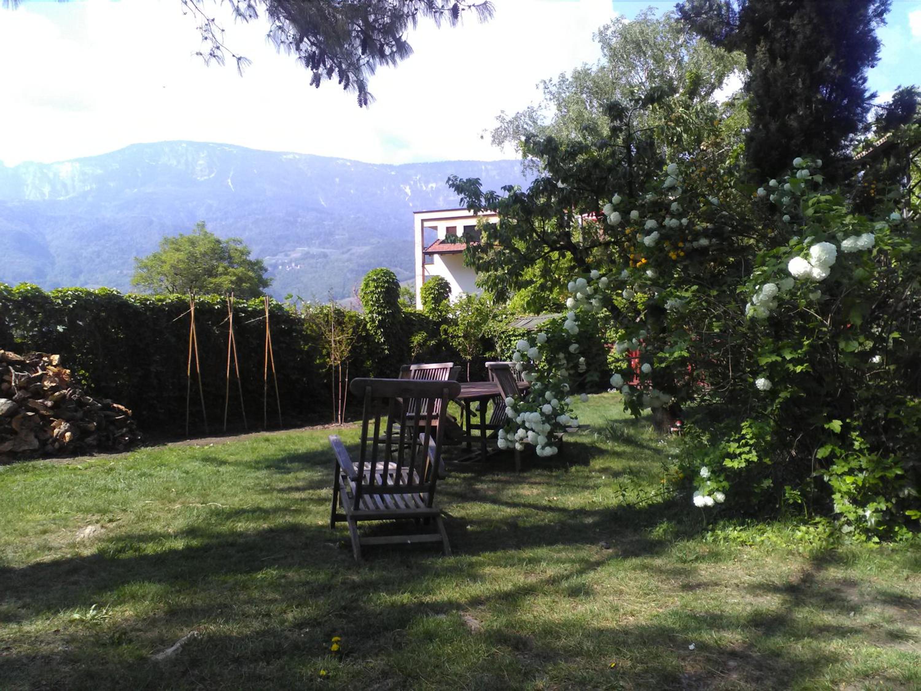 Photo 42