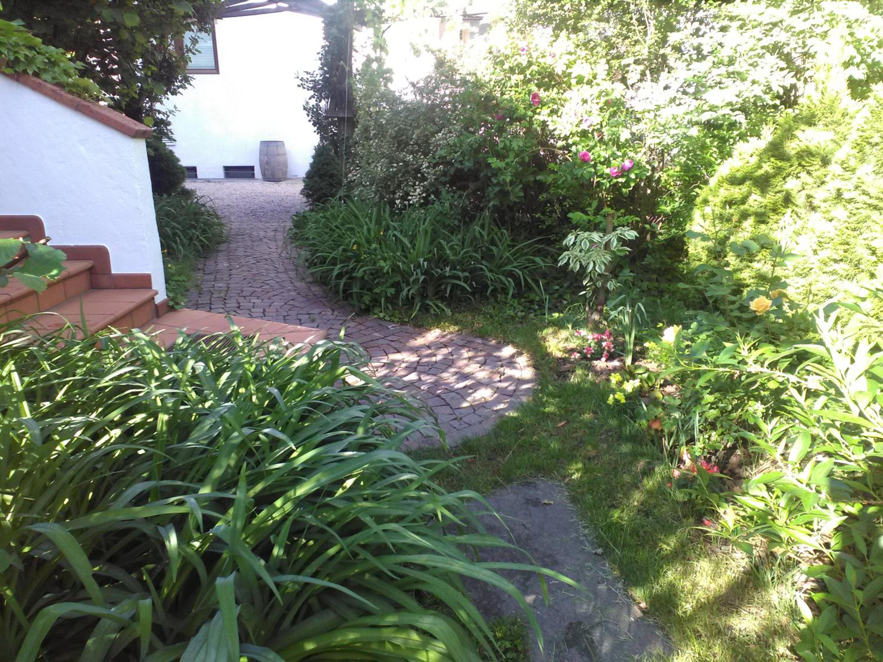 Photo 26