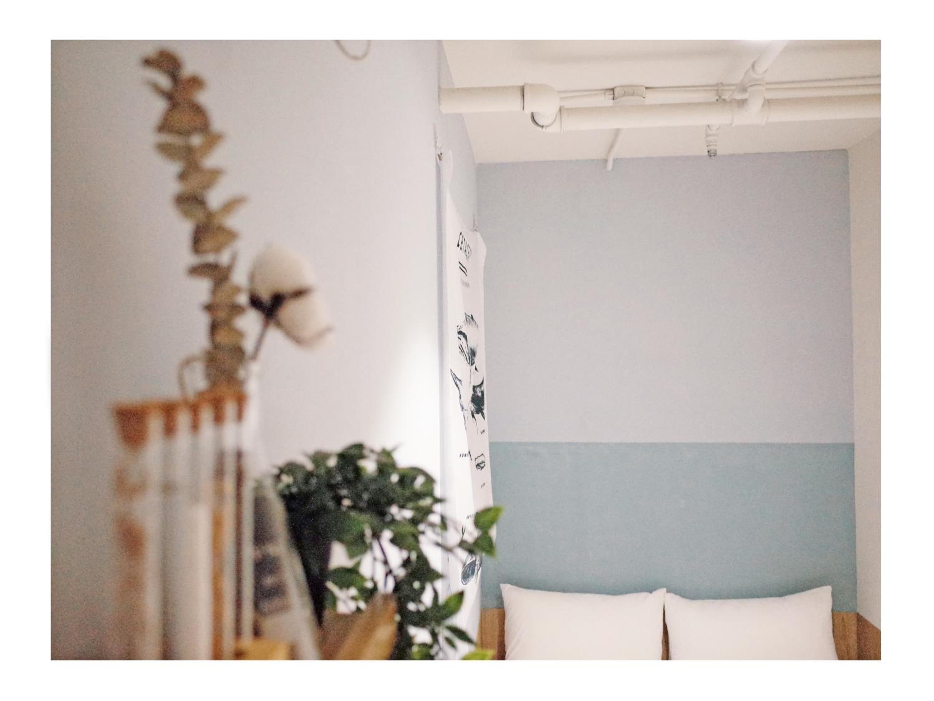 Paper Plane Hostel