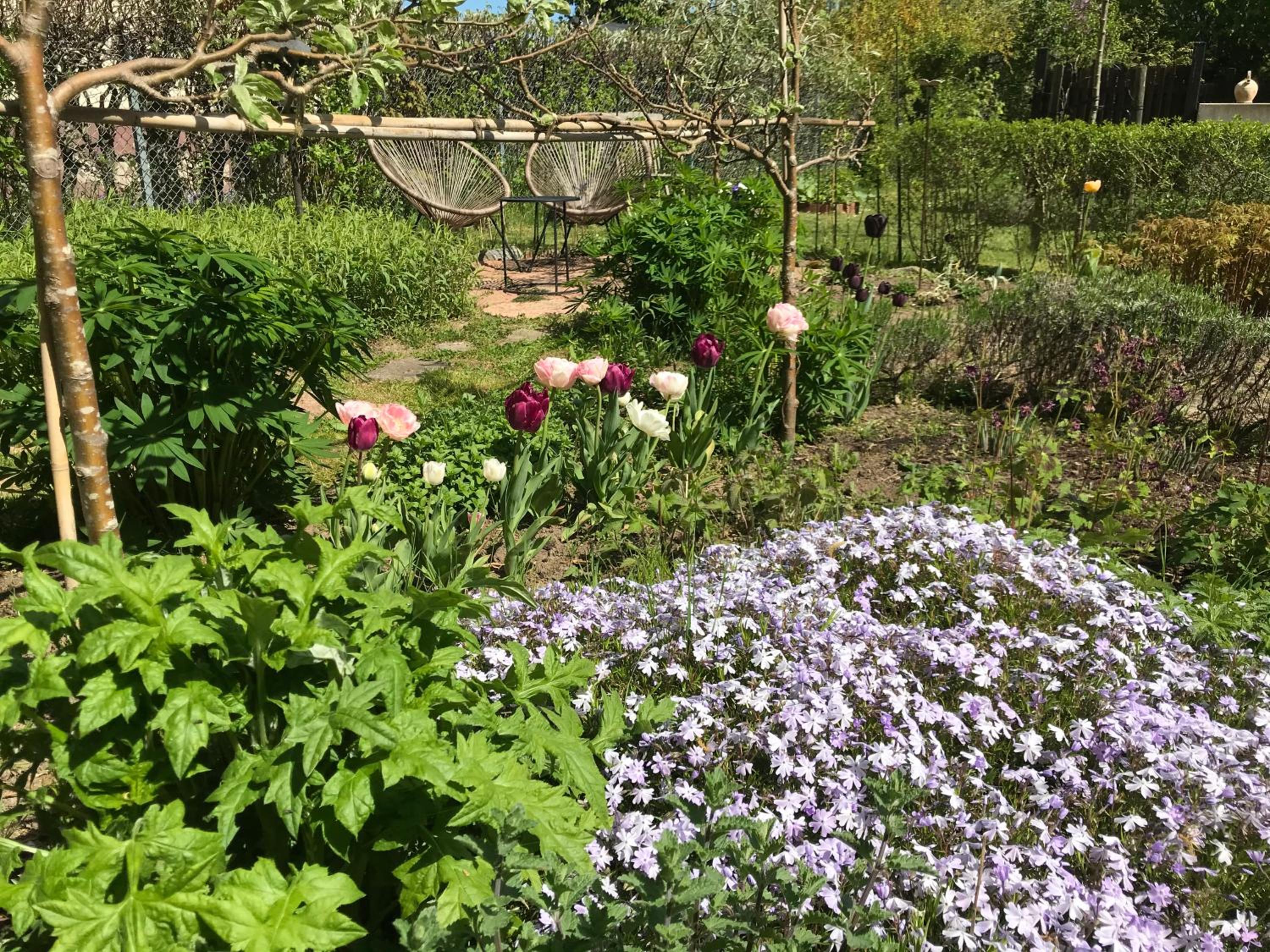 Mellby 11 Bed & Breakfast view 5