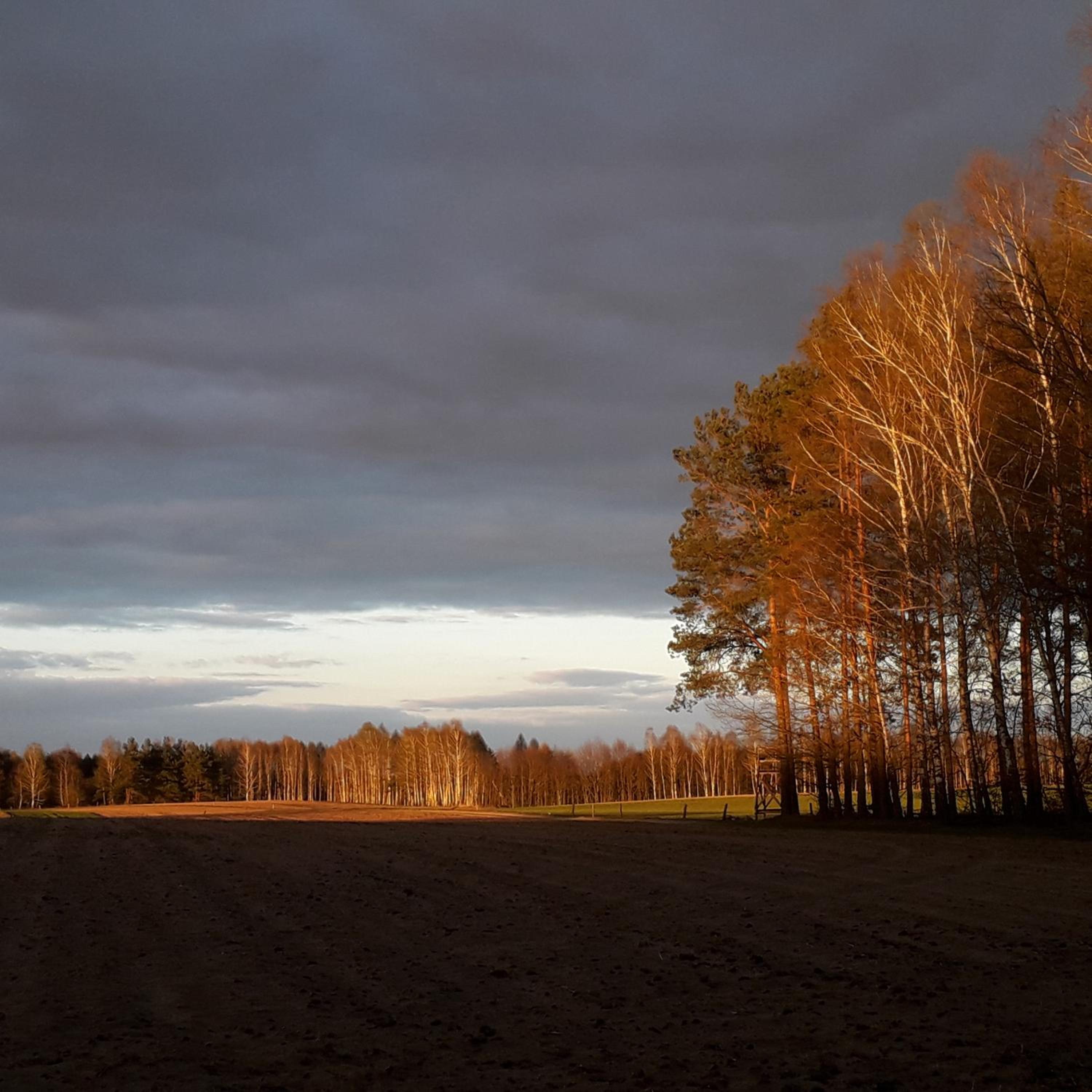 Agroturystyka Szafarnia 19 view 5