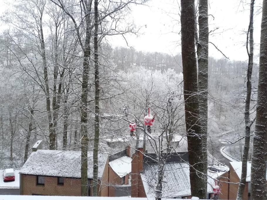 Maison cosy et paisible en Ardenne près de la Meuse