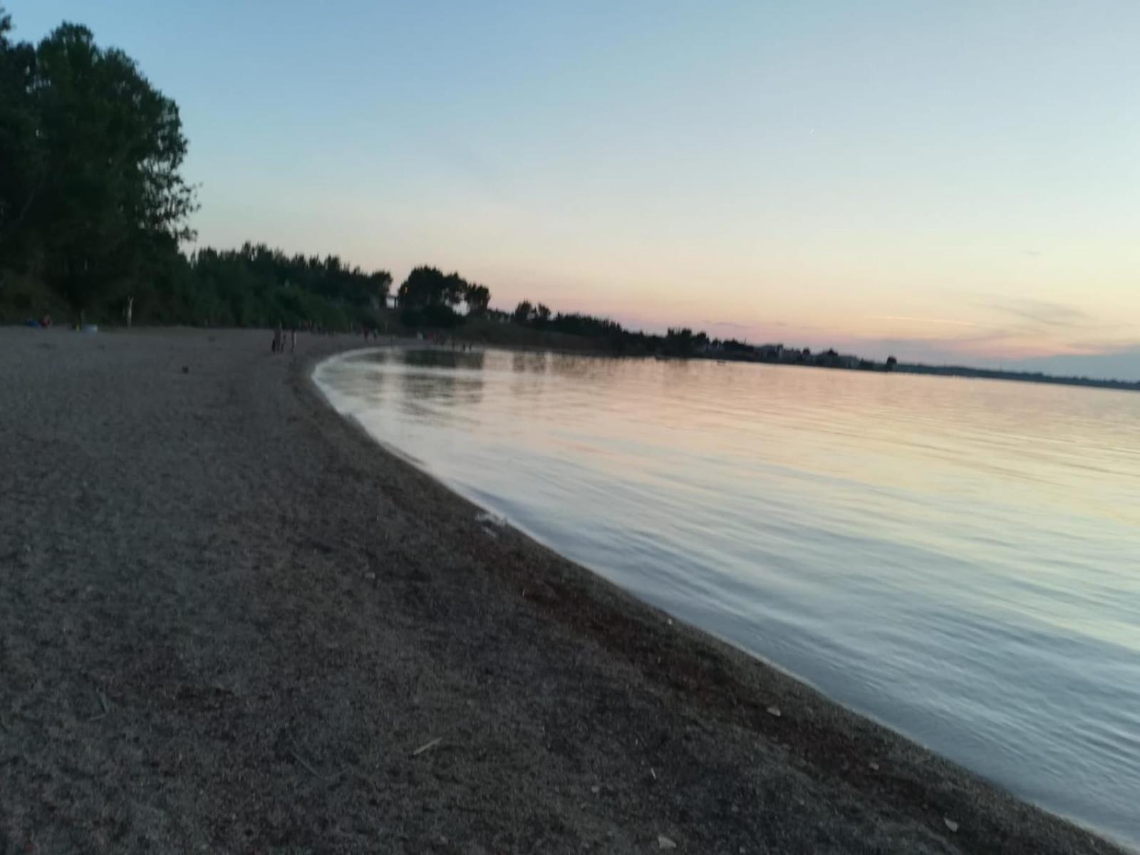 Photo 46