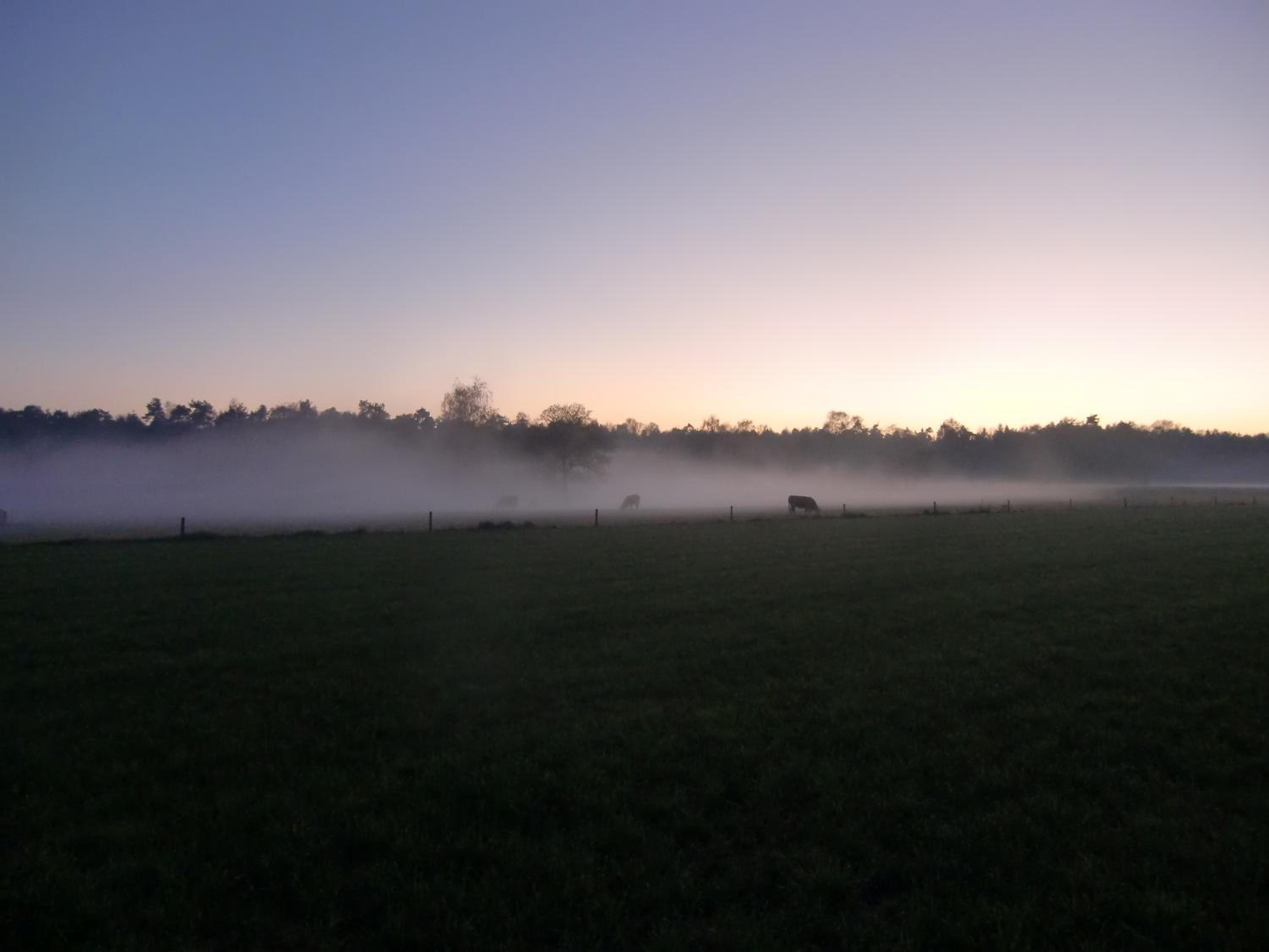 't Buitenverblijf Erve Punte view 2