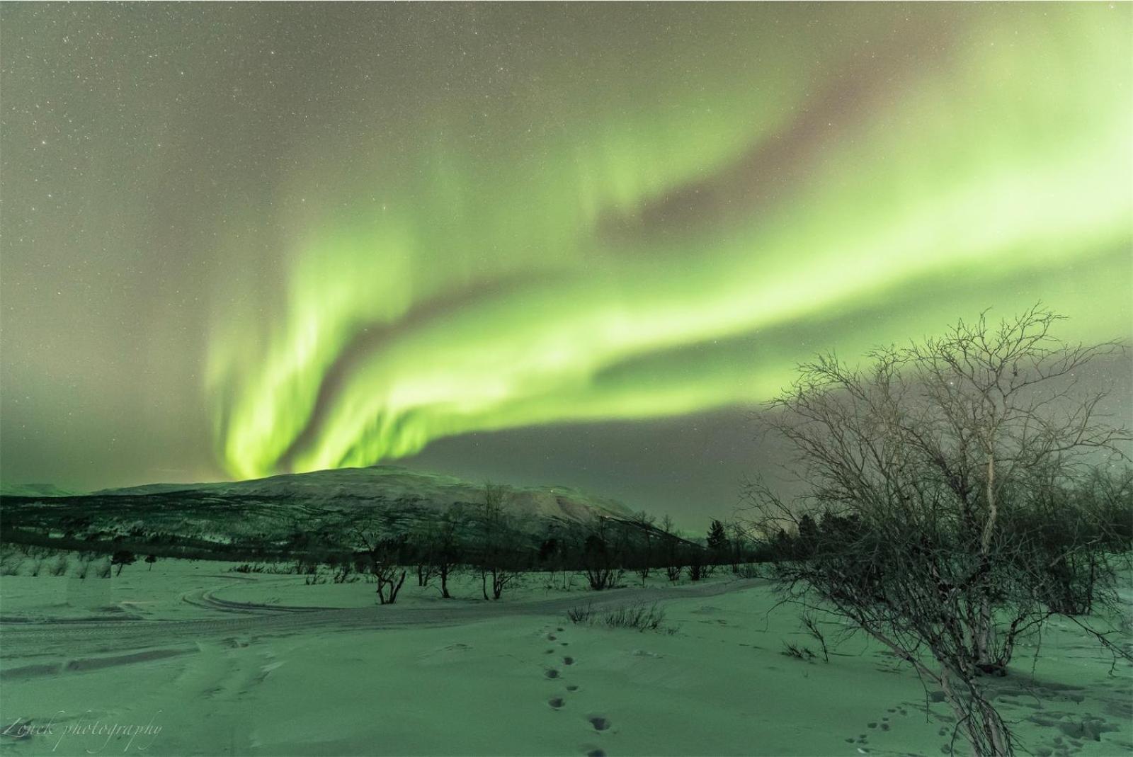Abisko Guesthouse & Activities