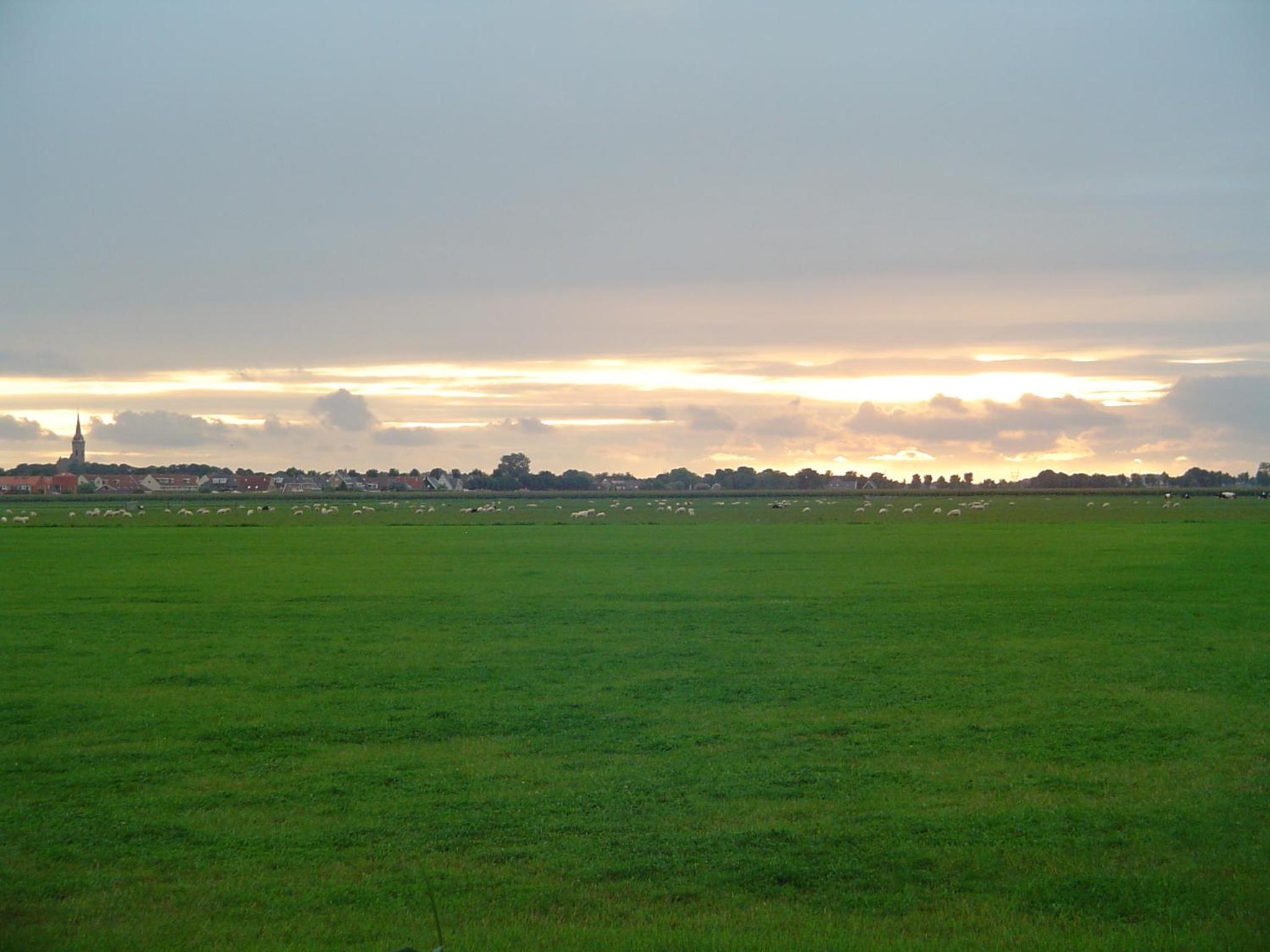 Photo 100