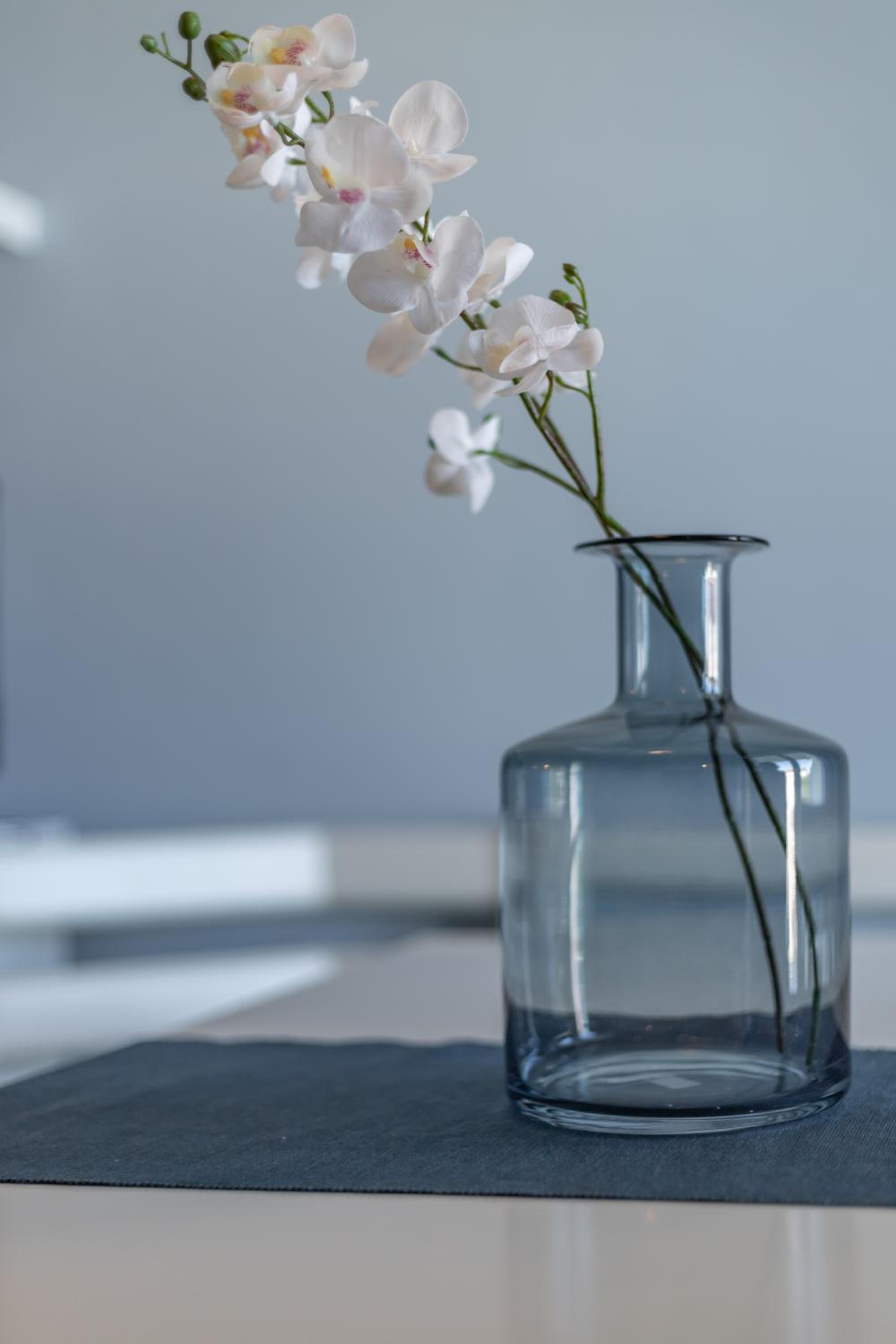 Conero Sea Loft en Marcelli — other