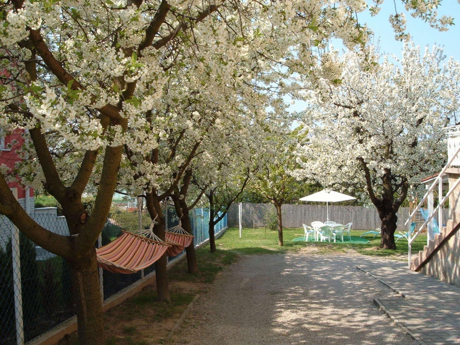 Apartman Hévíz Holiday view 3