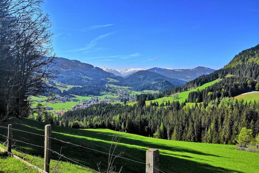 Appartment Dutzler
