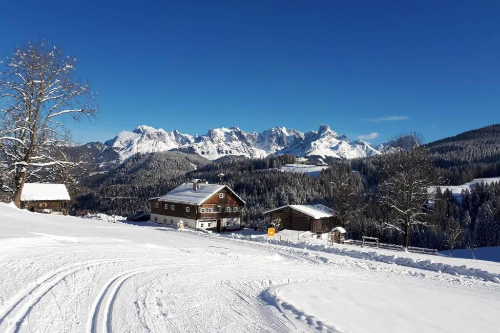 Appartment Dutzler