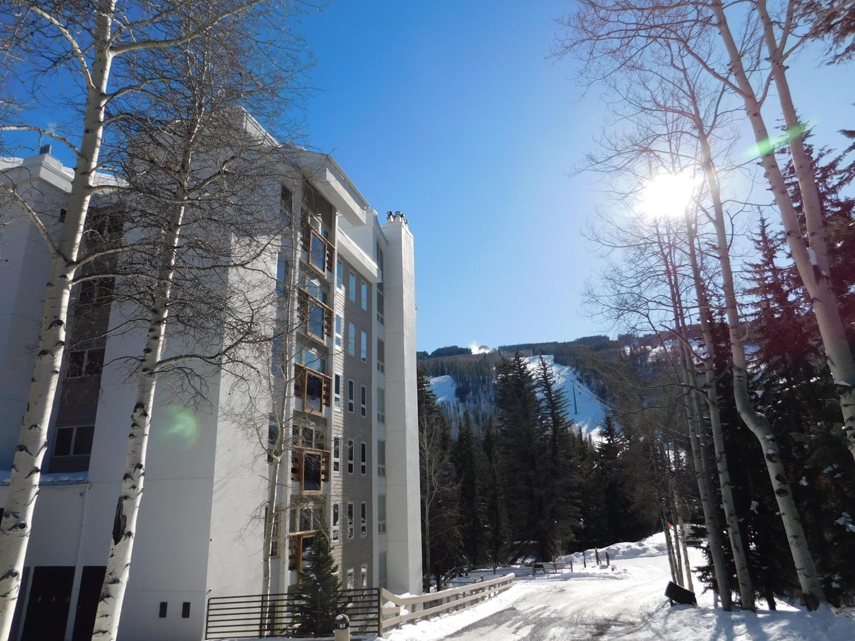 Tree Tops Lionshead by Vail Realty view 3