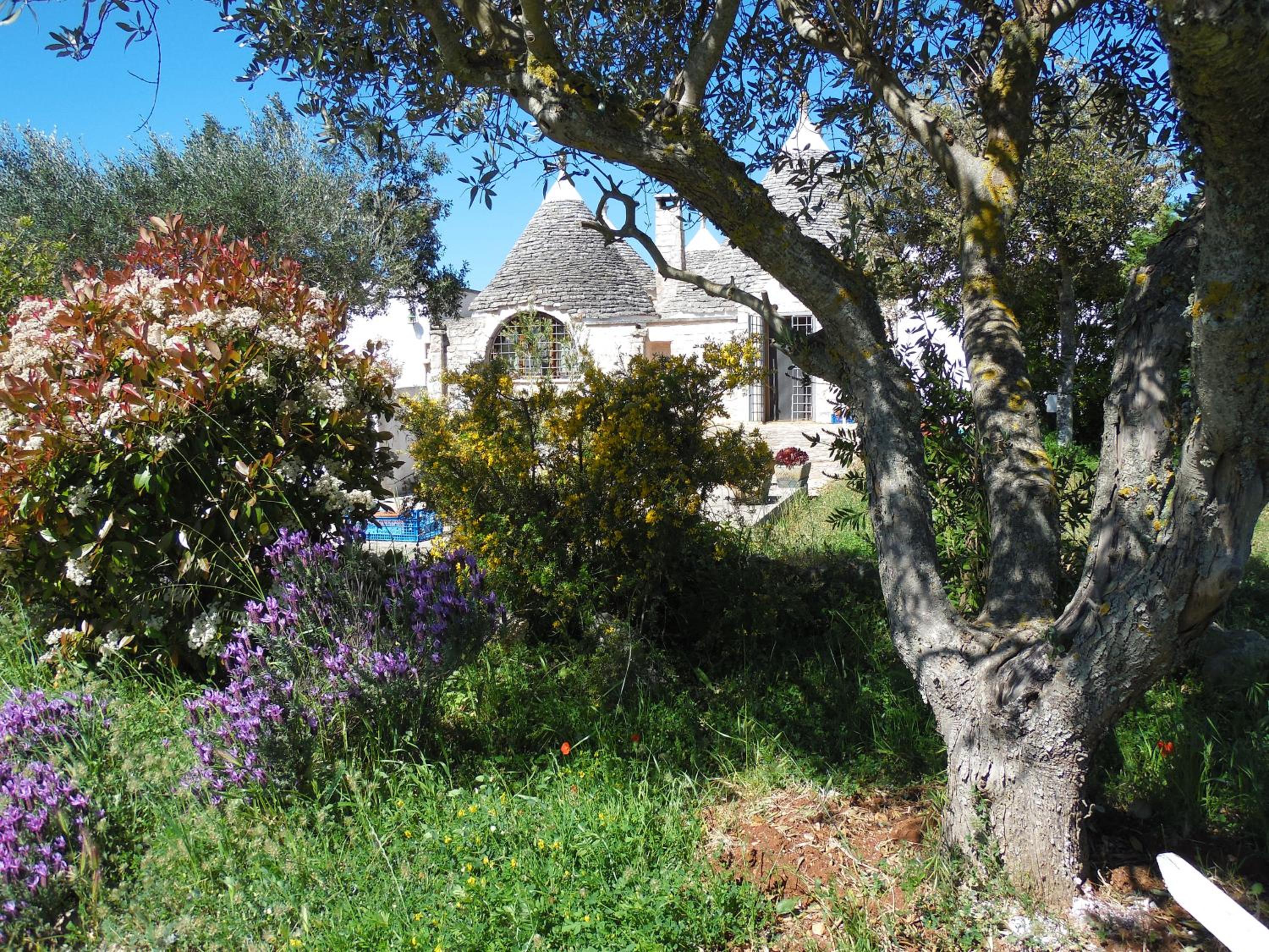 B&B Trulli sotto La Cupa view 3
