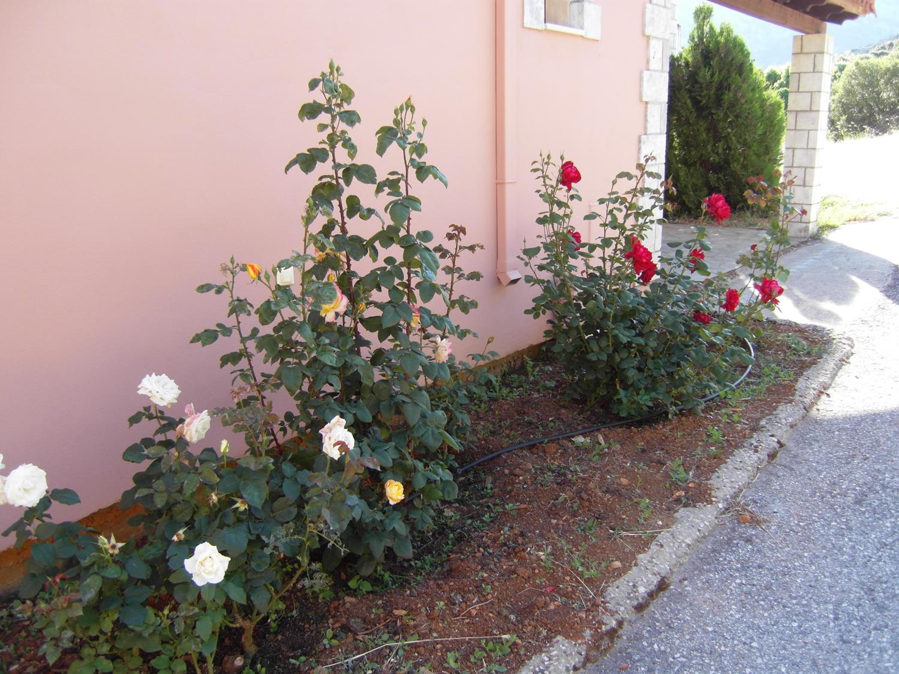 Photo 28