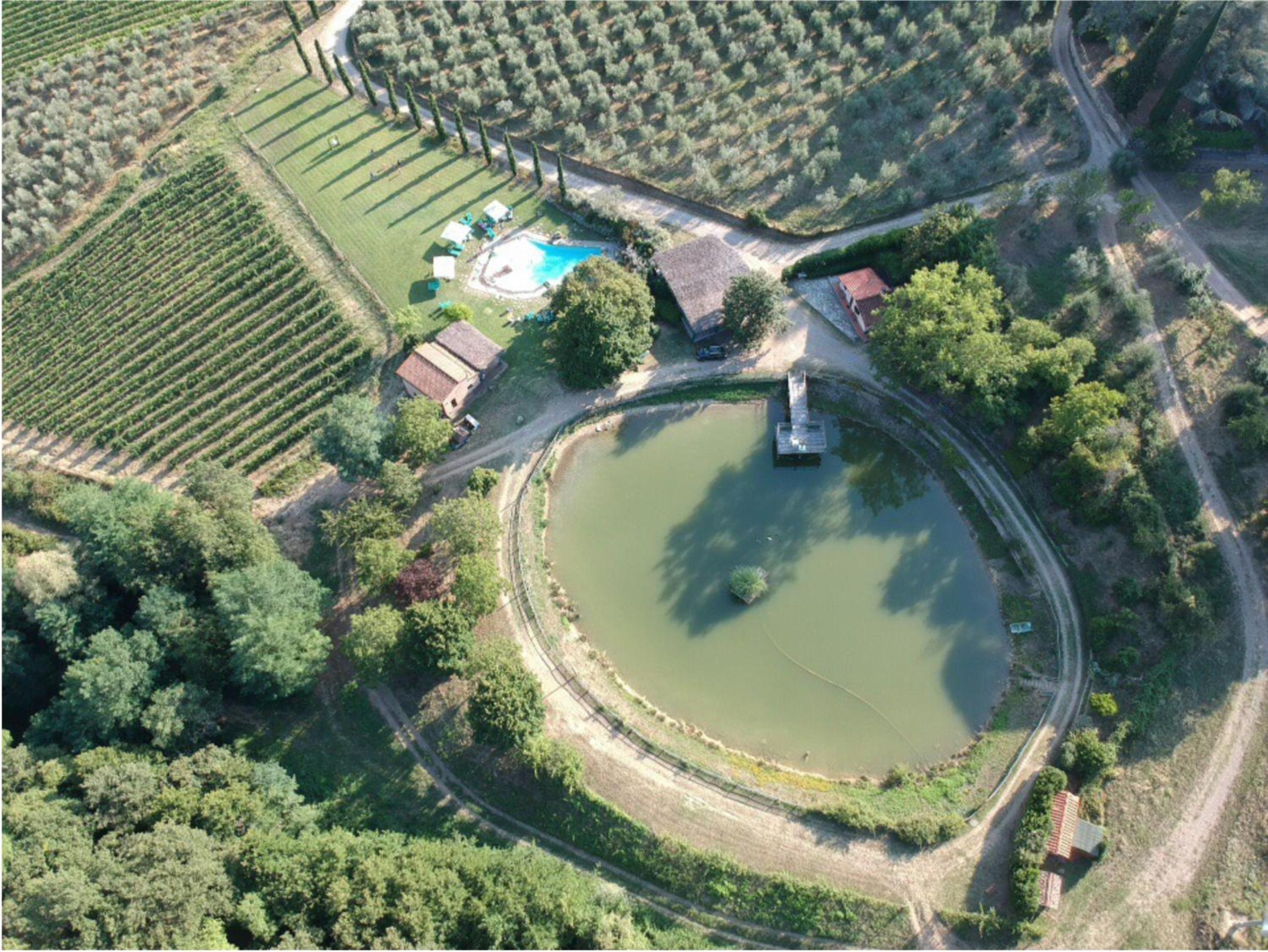 Figline Valdarno Vacations - Agriturismo Fattoria Celle - Property Image 2