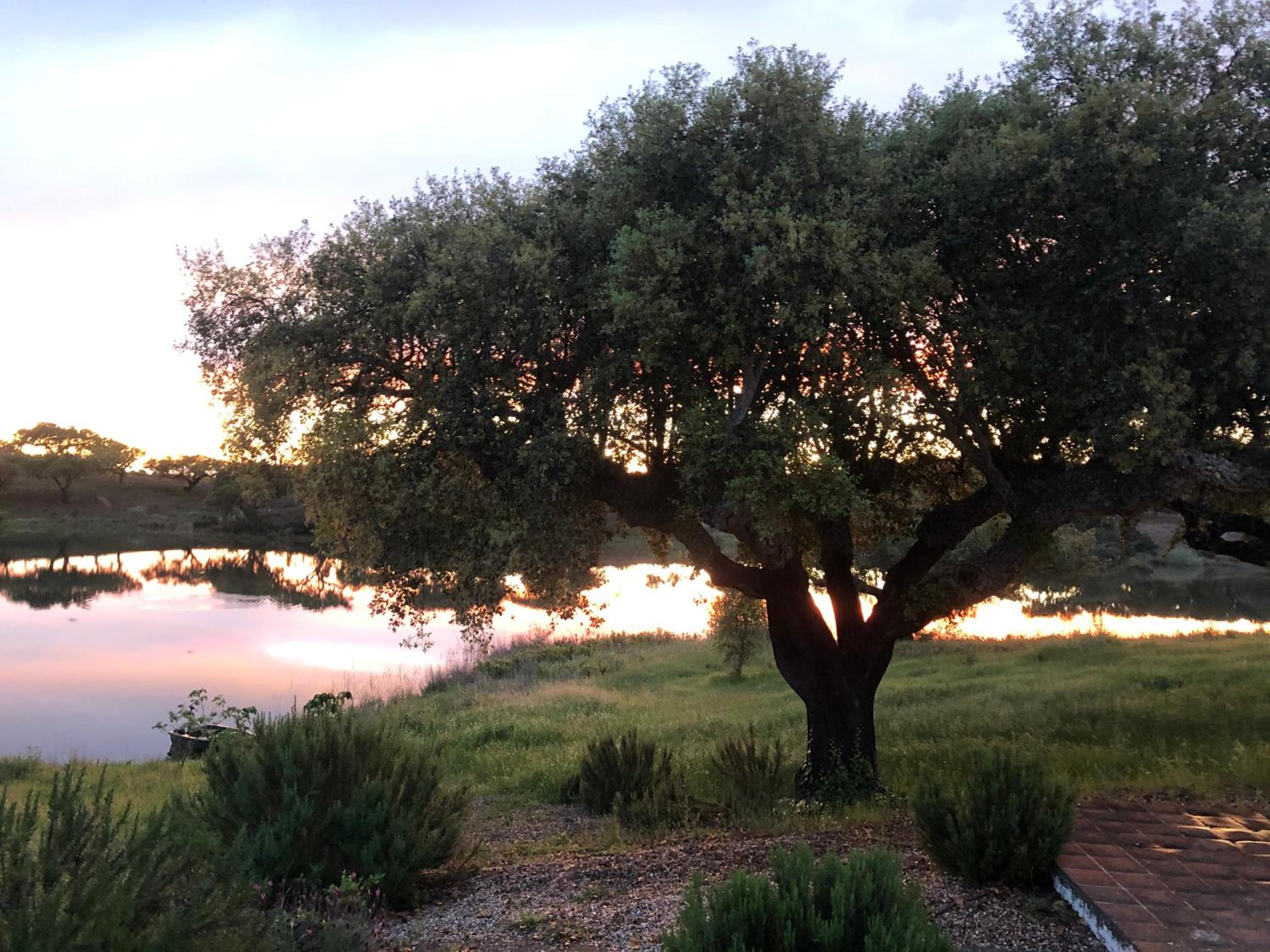 Fontes - A essência do Alentejo com lago privado view 2