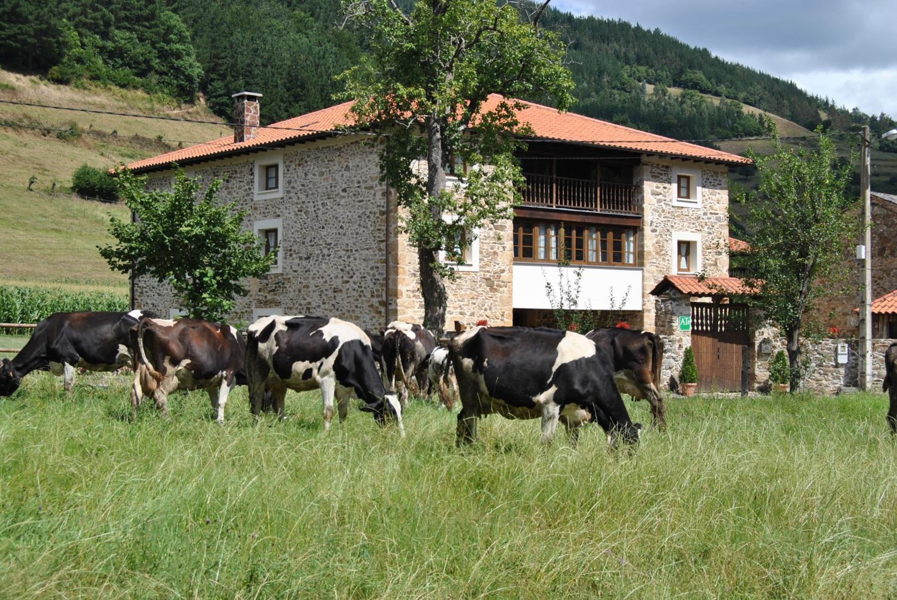 Apartamentos Rurales Ca Lulón