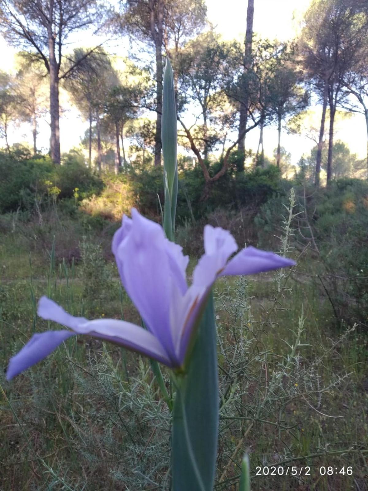 Casa Rural Los Pinos