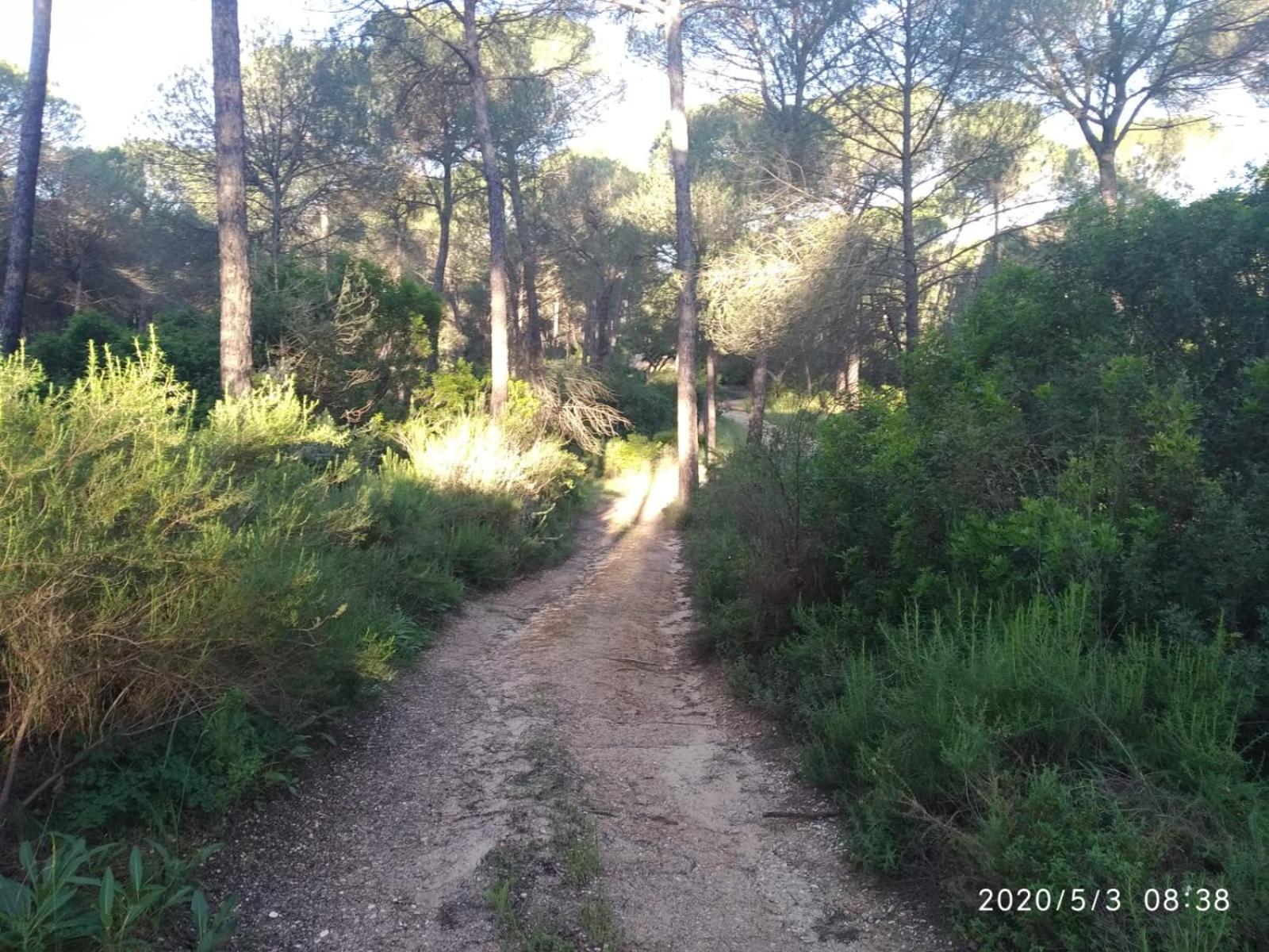 Casa Rural Los Pinos