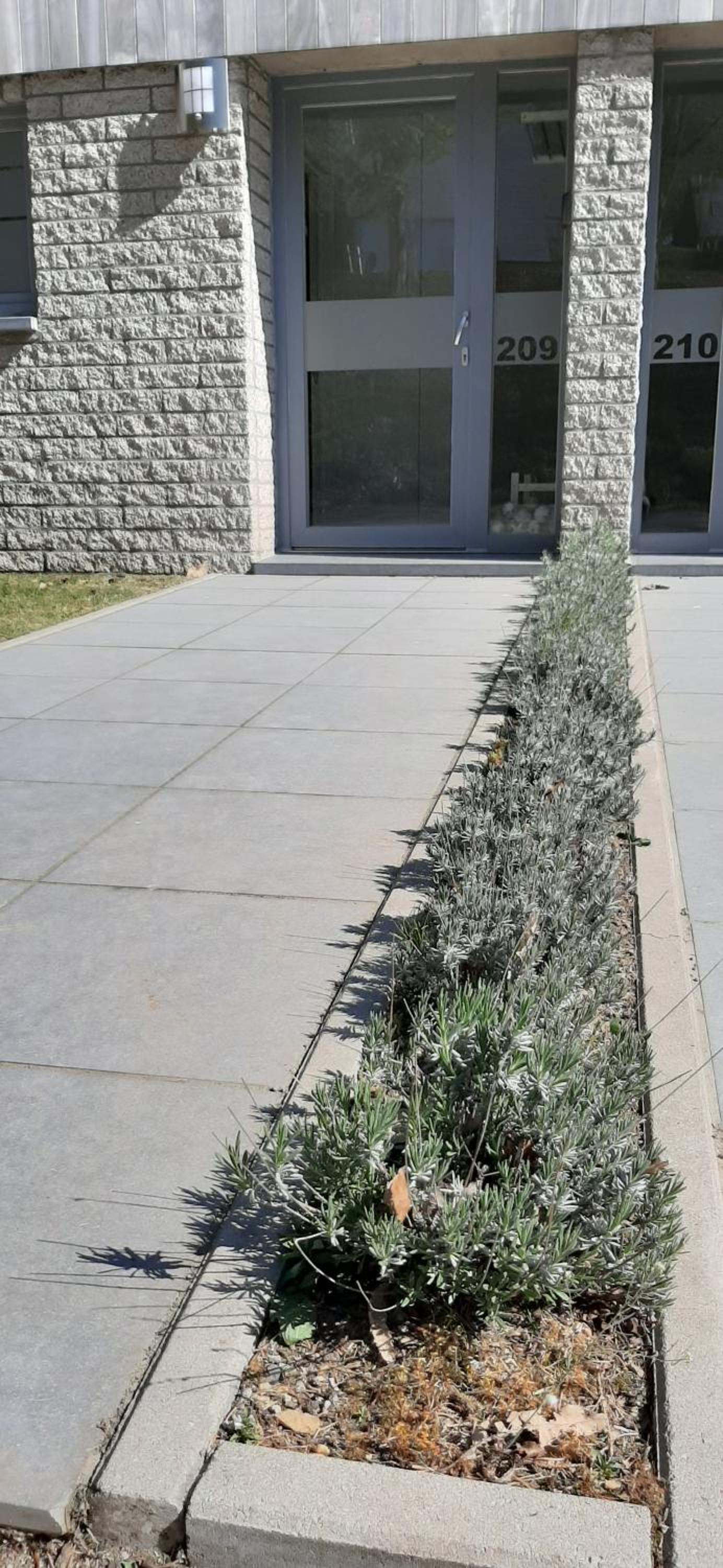Côté terrasse