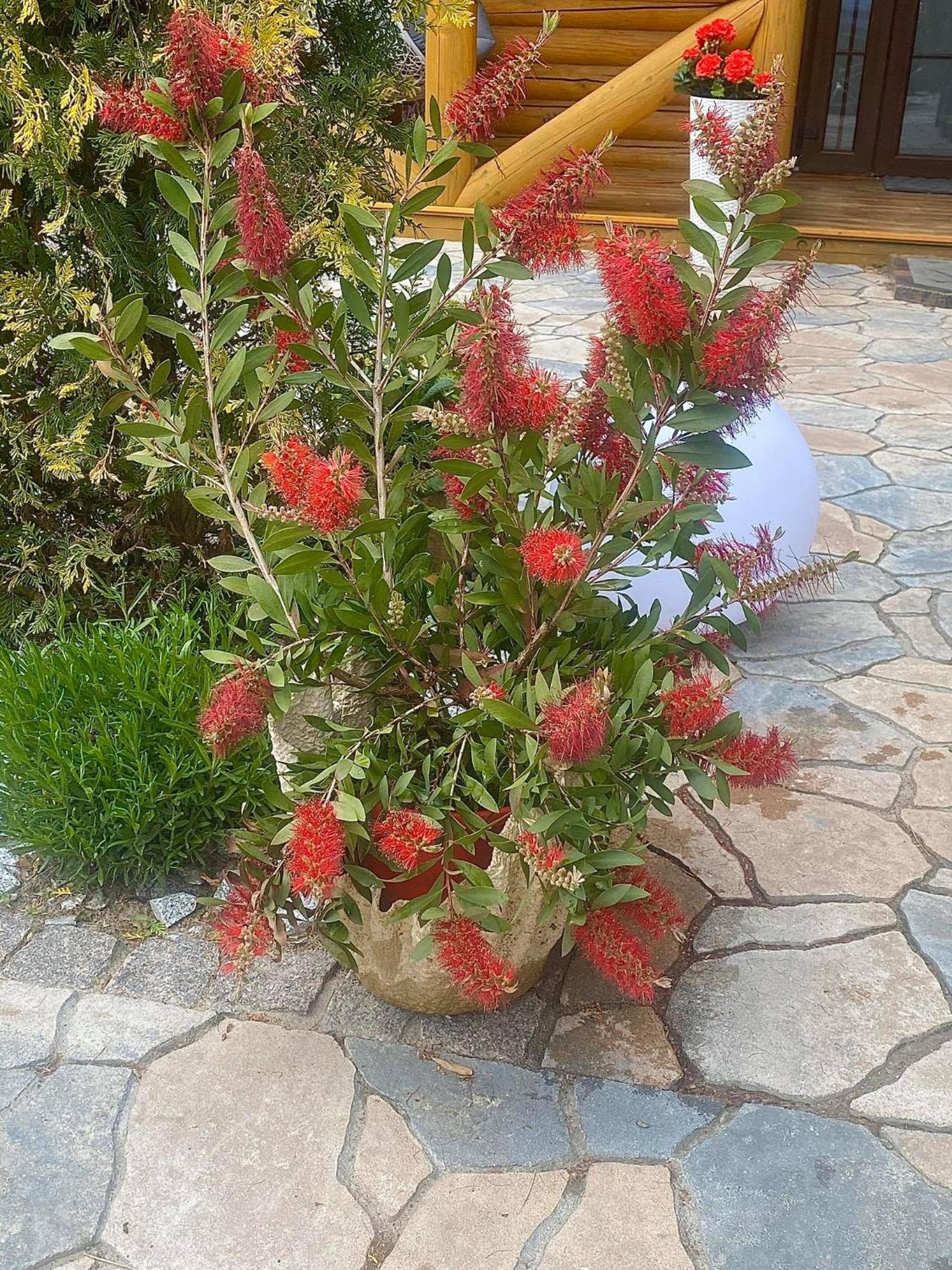 Photo 20