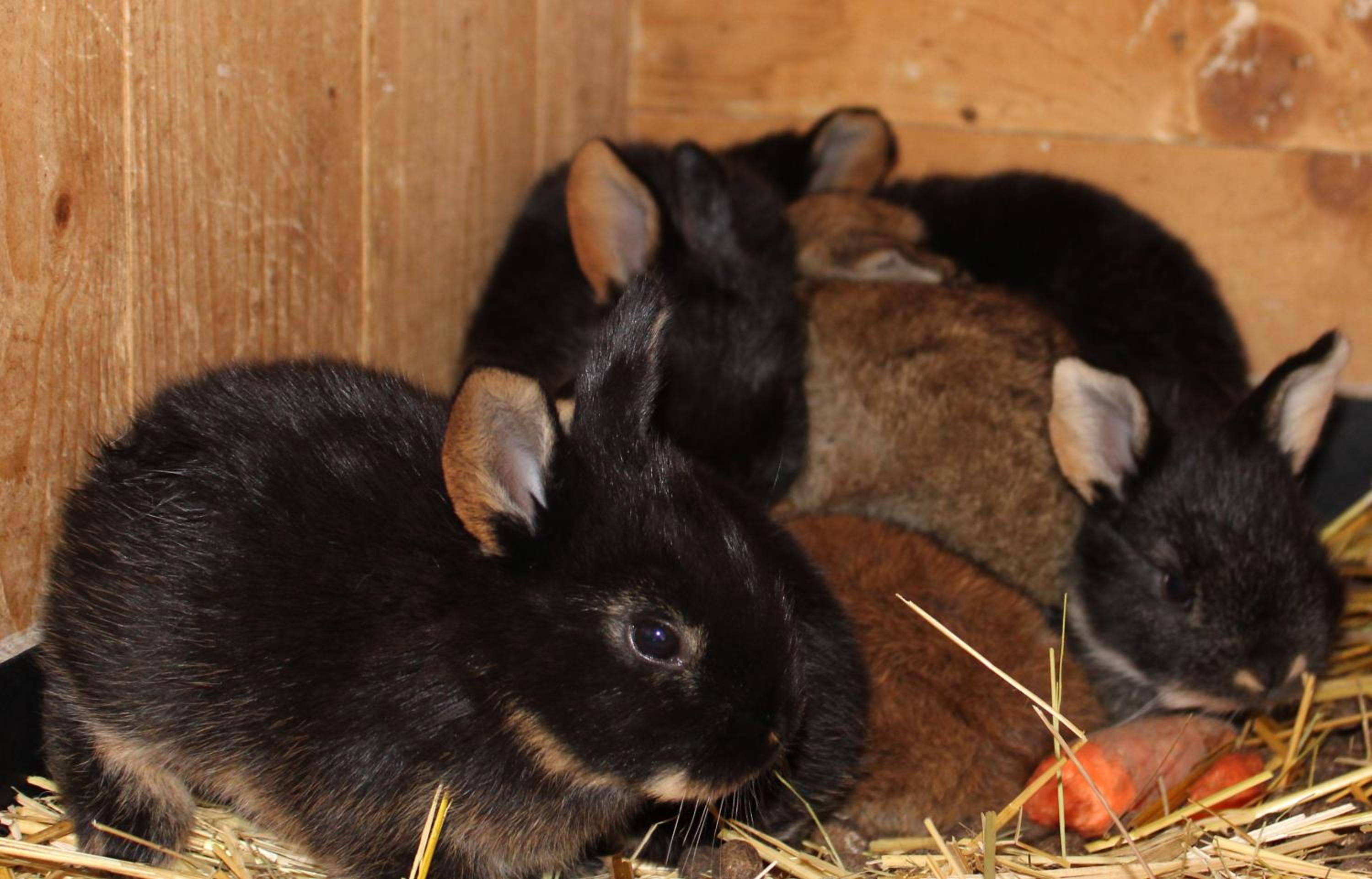 other
