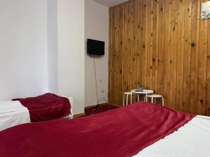 Vila Sofia