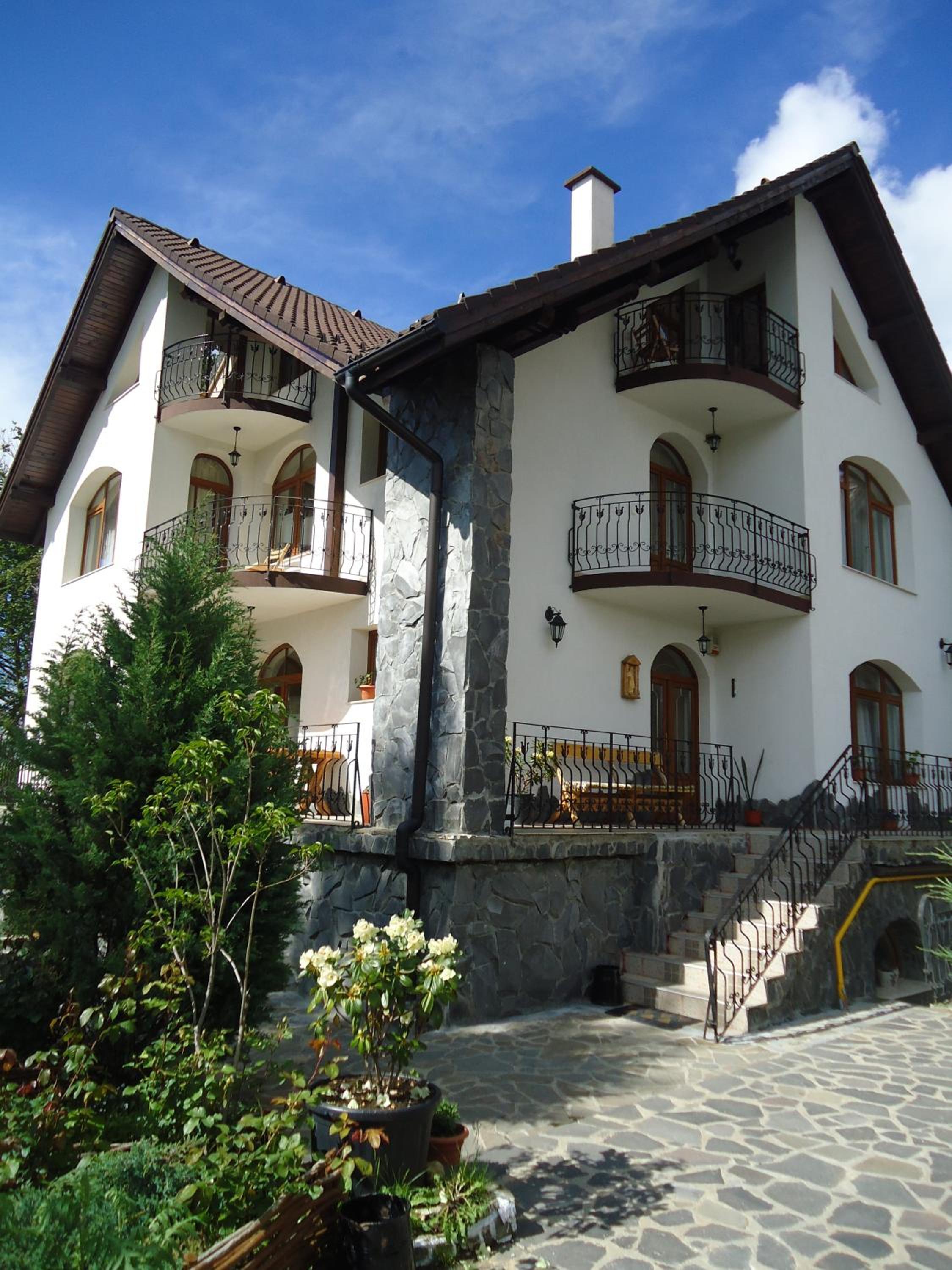 Pensiunea Crocus - Sauna & Billiard view 3