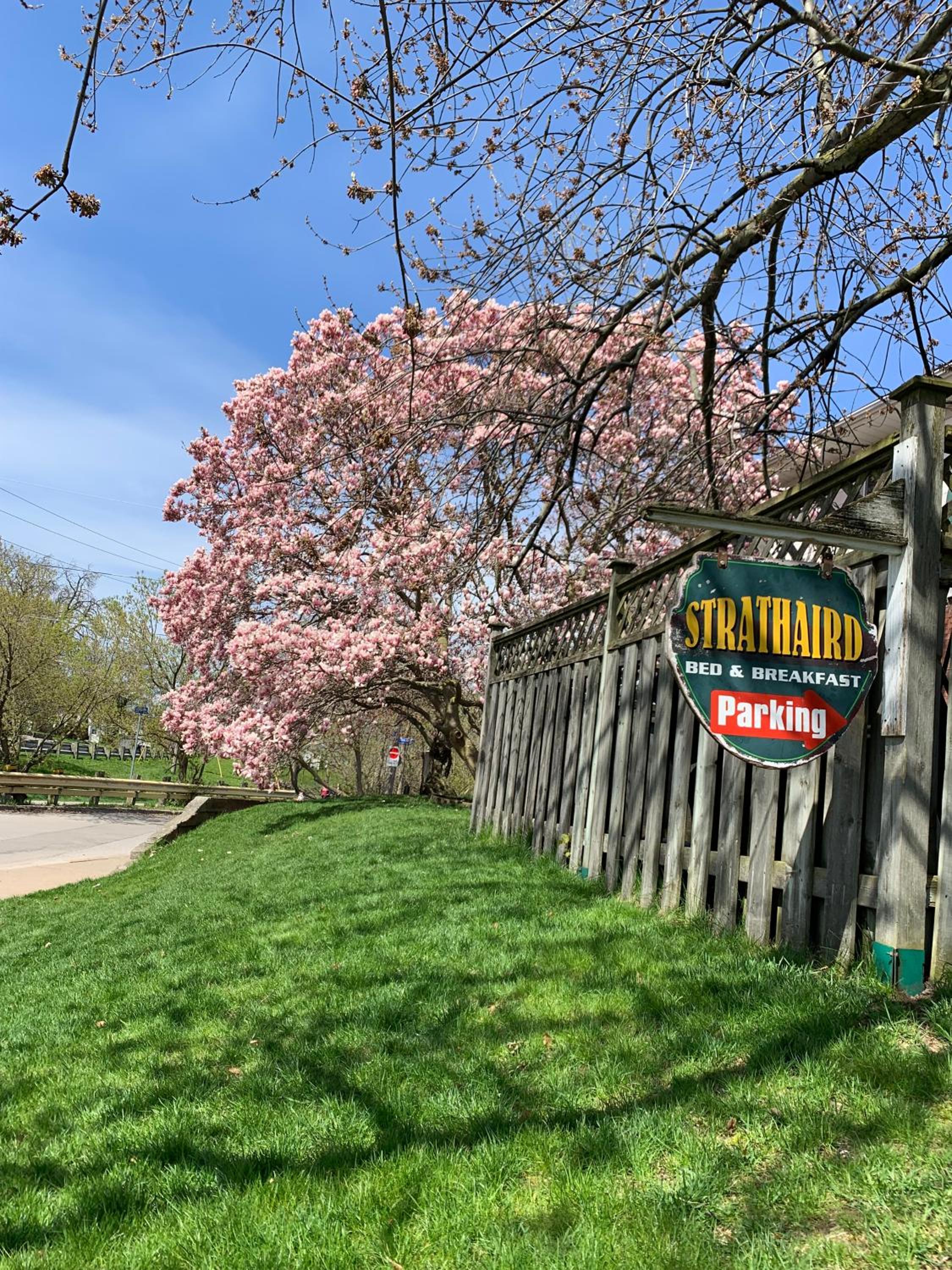 Strathaird Bed and Breakfast - Image 3