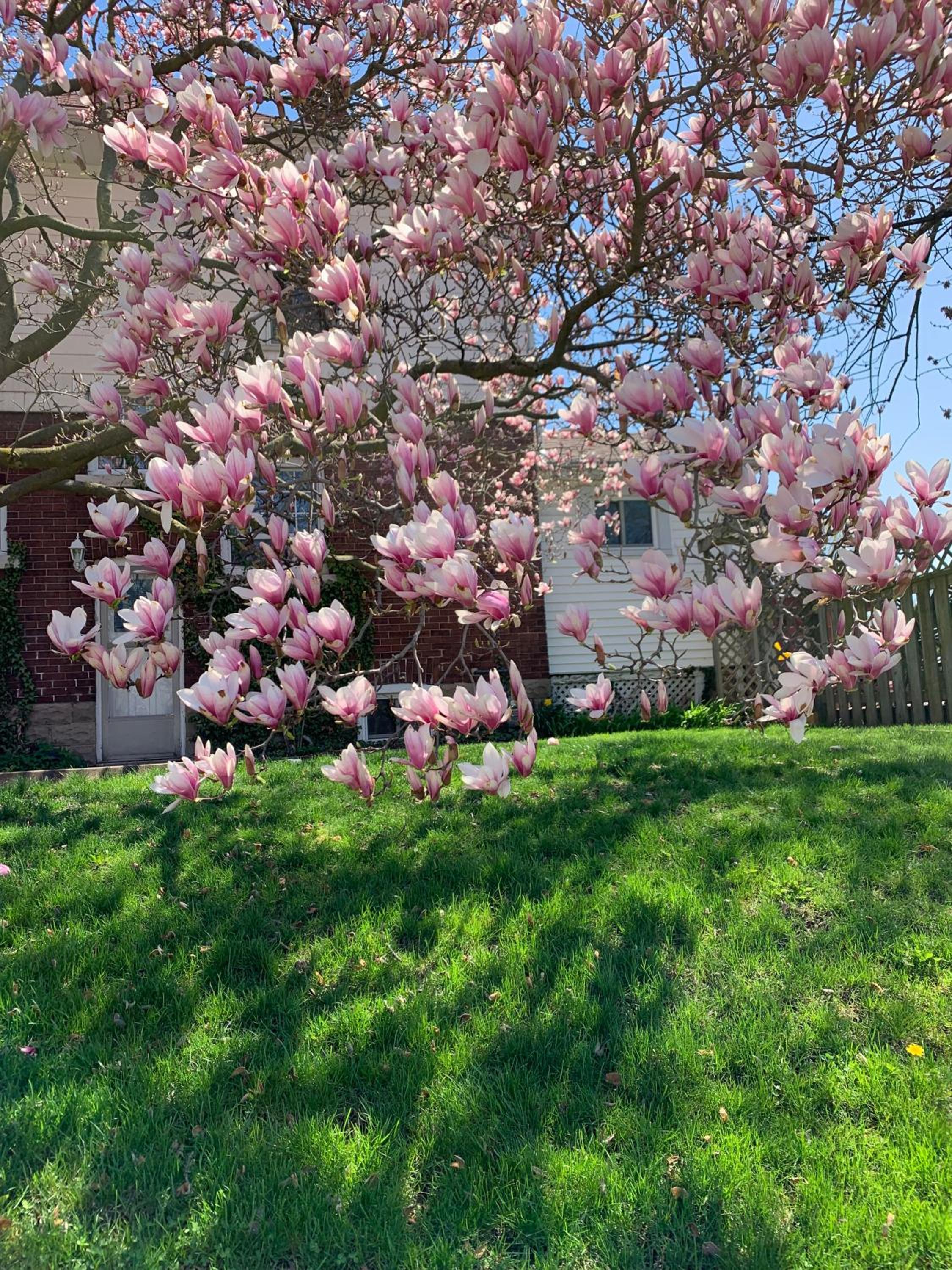 Strathaird Bed and Breakfast - Image 4