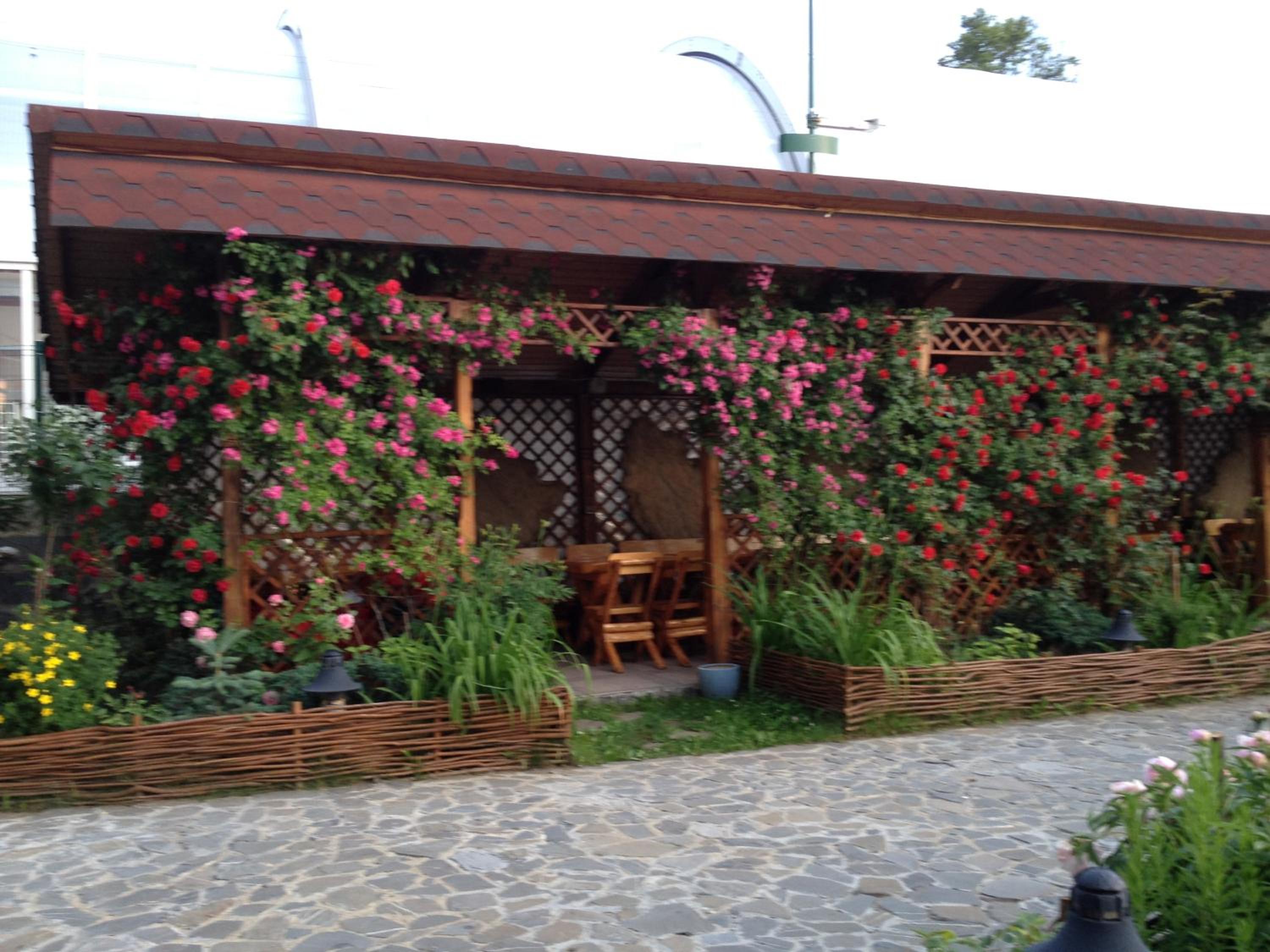 Photo 40