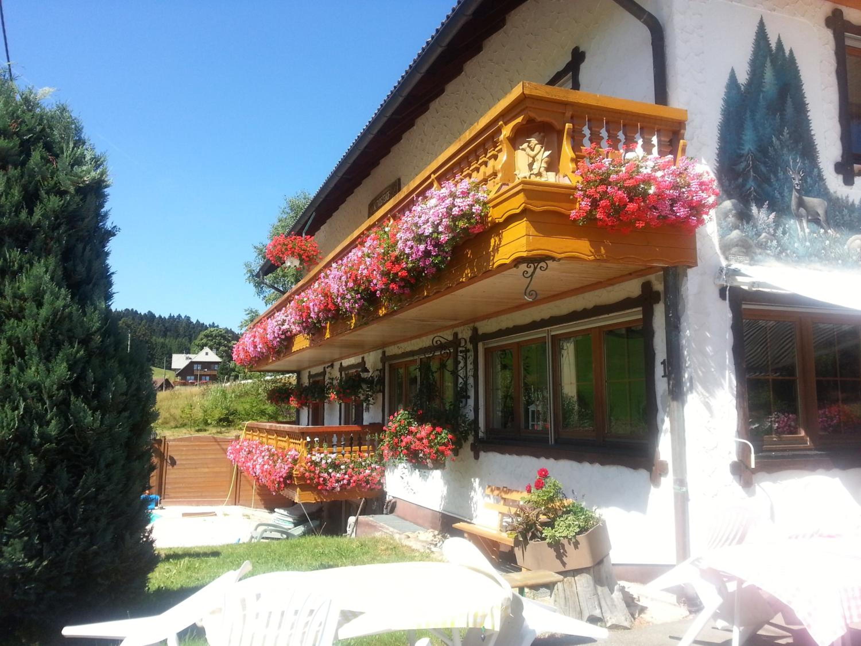Photo 21