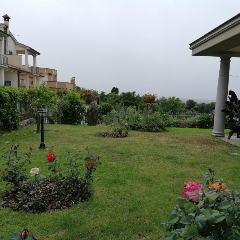 Photo 26