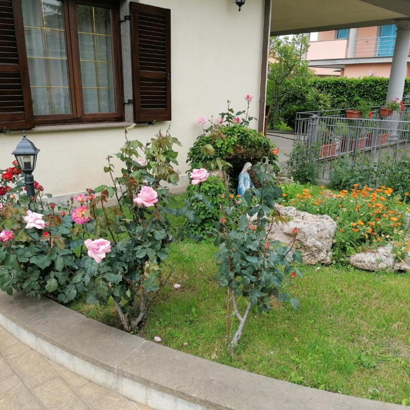Photo 27