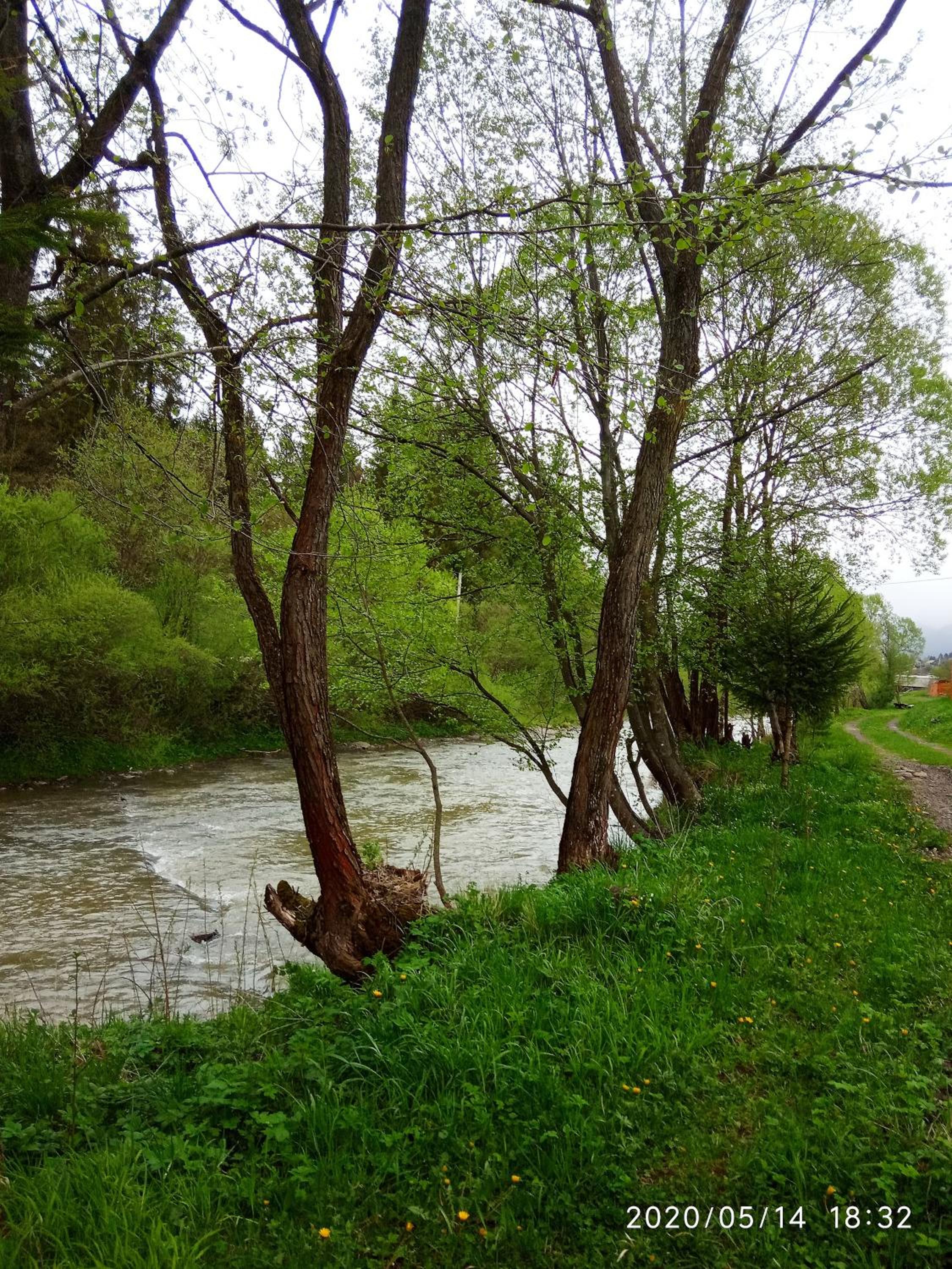 Vodograi