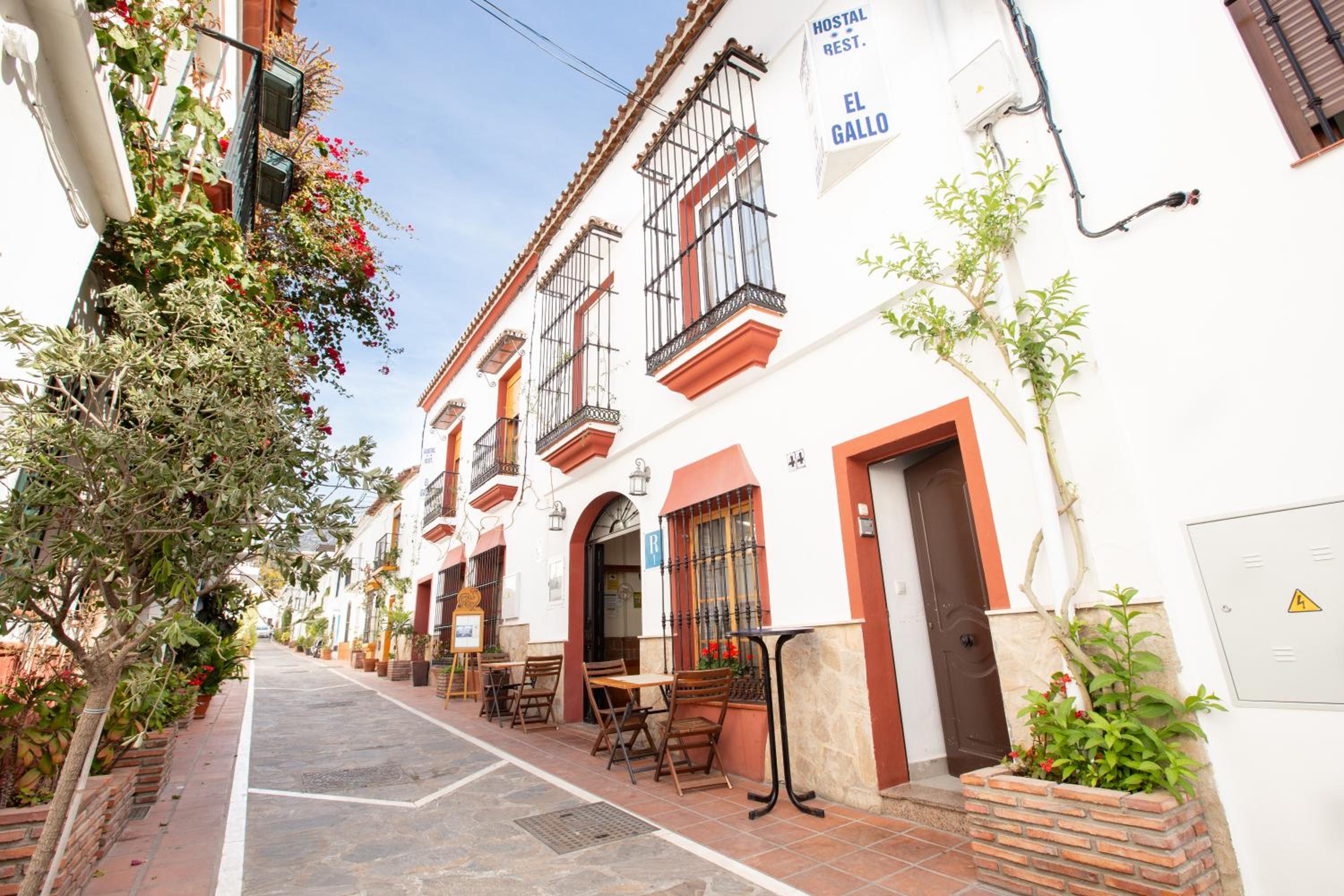 Hostal El Gallo
