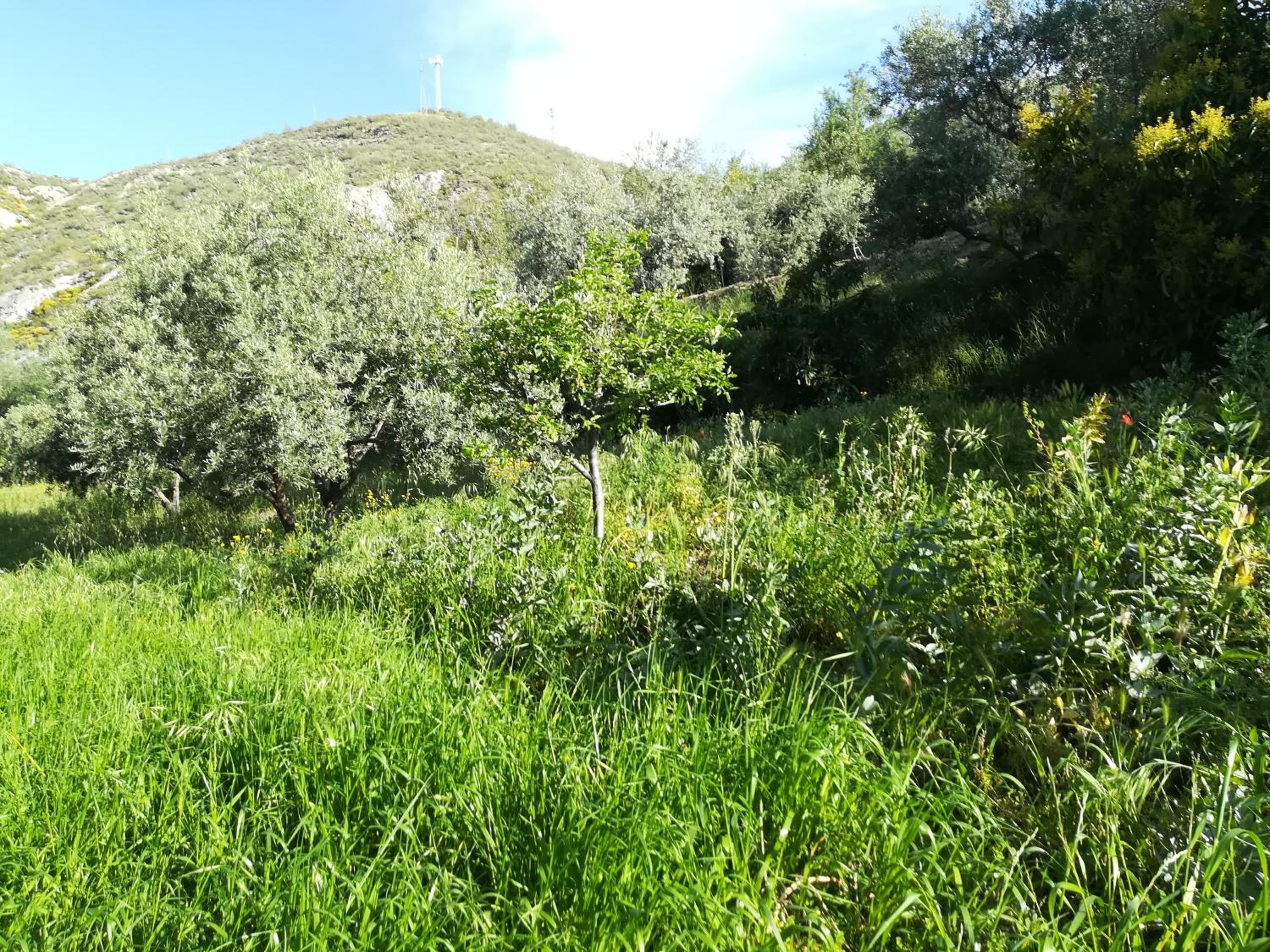 Photo 35