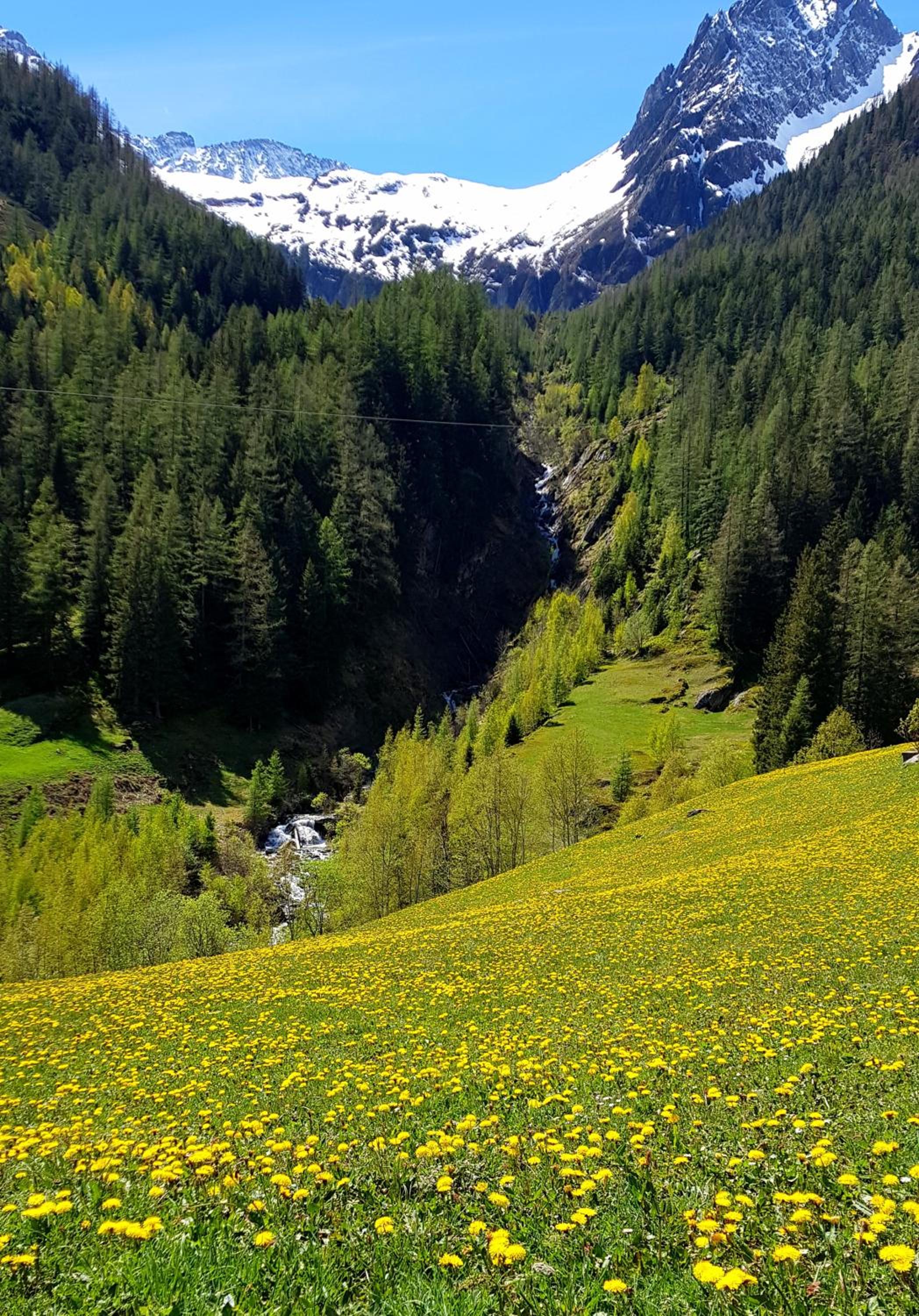 Gästehaus Alpenglühn
