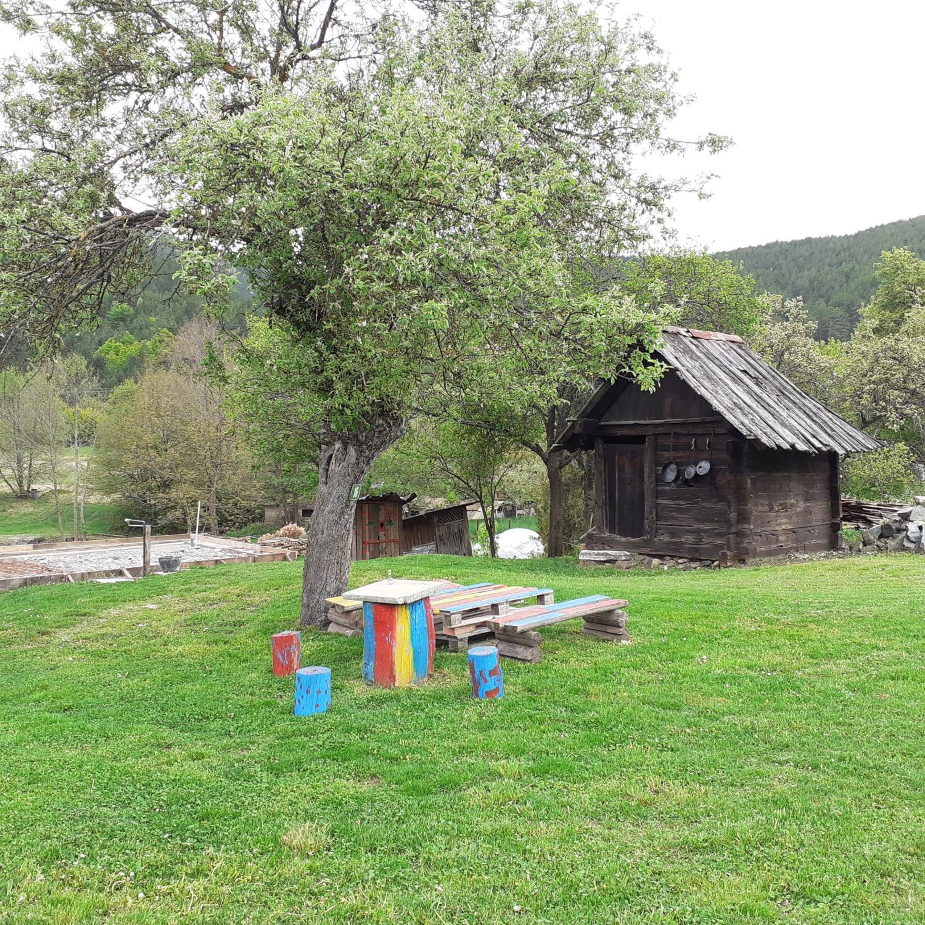 Photo 23