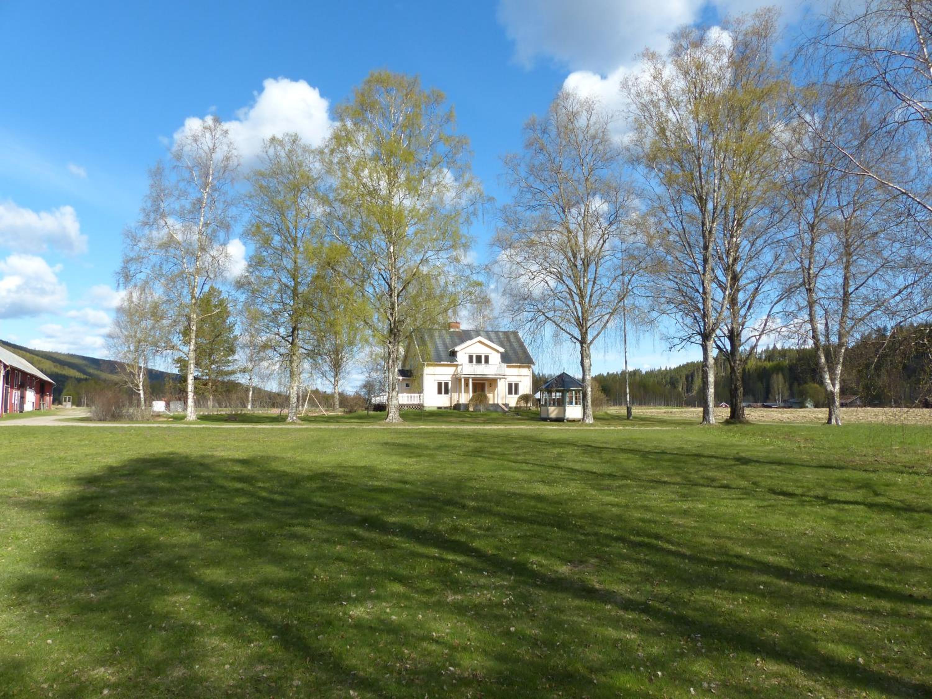 Photo 6